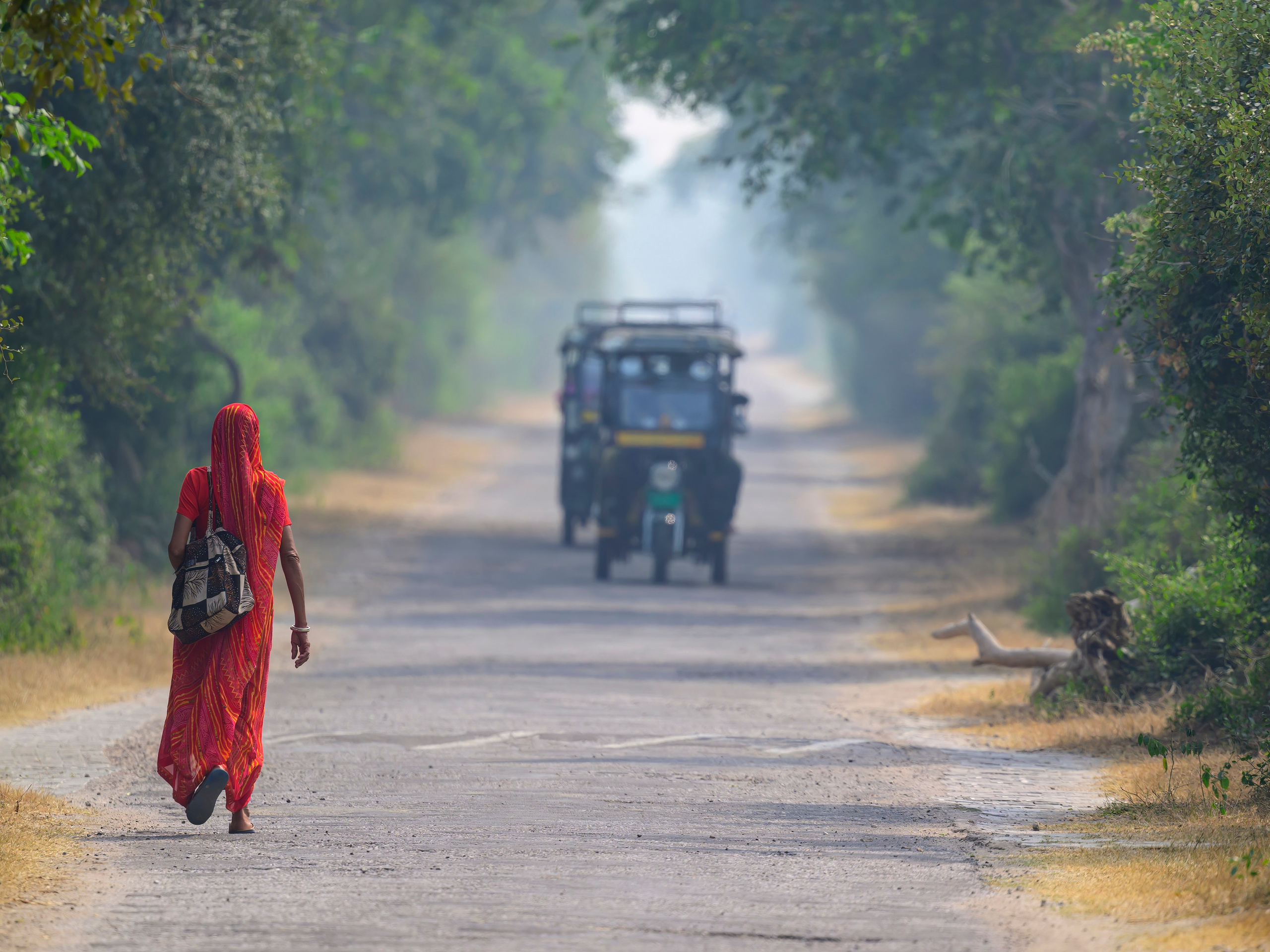 Раджастан, Индия. Wildlife photography by Sergey Puponin