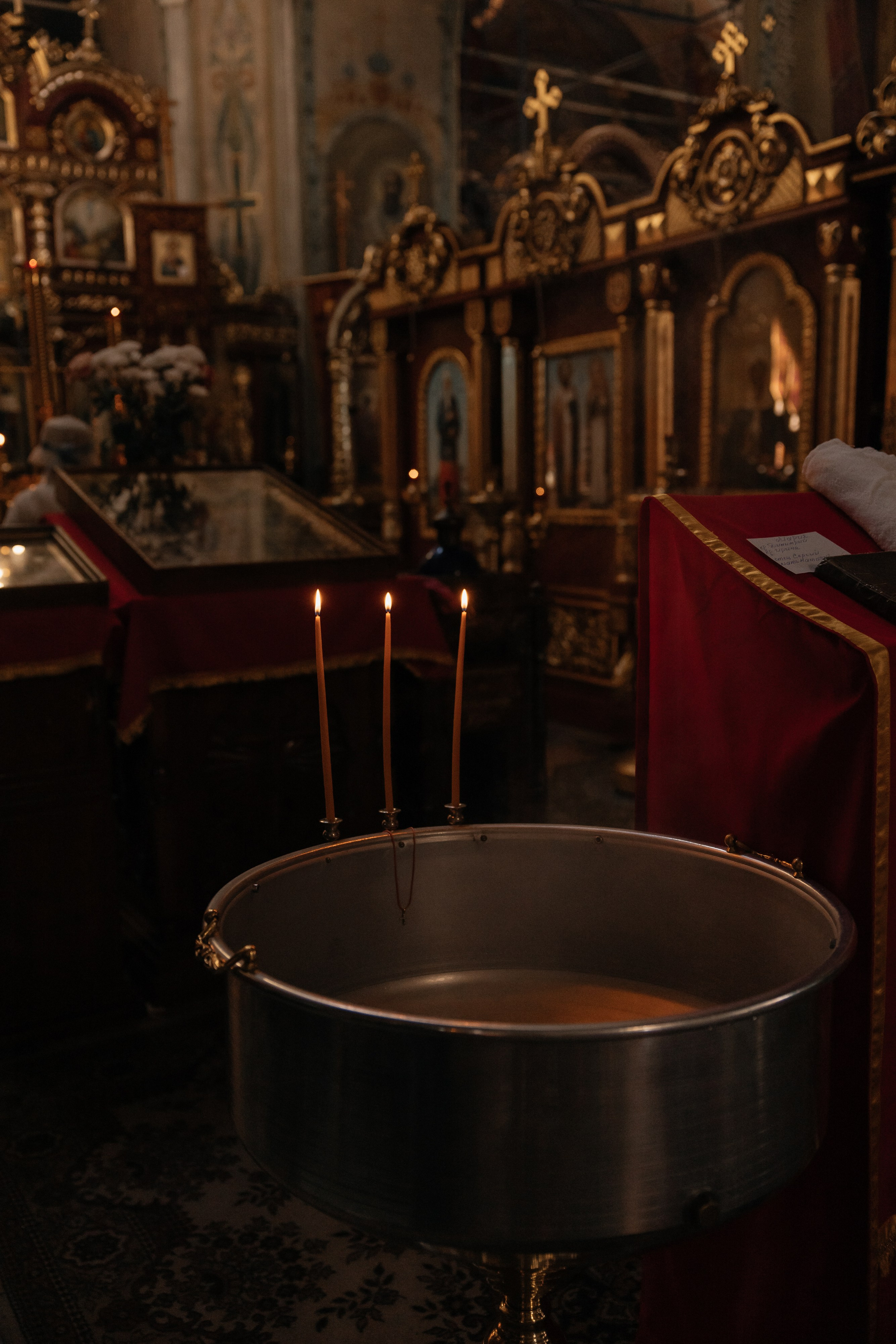 Мия. Семейный фотограф Губкин/Старый Оскол