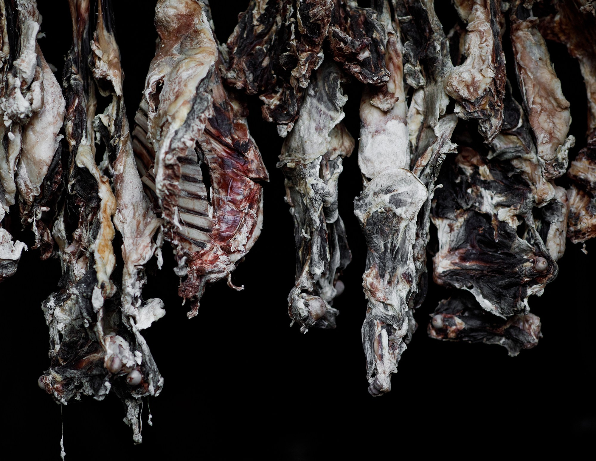 Dagestan. Seasons. Autumn. Documentary and art photographer Alexey Terentyev