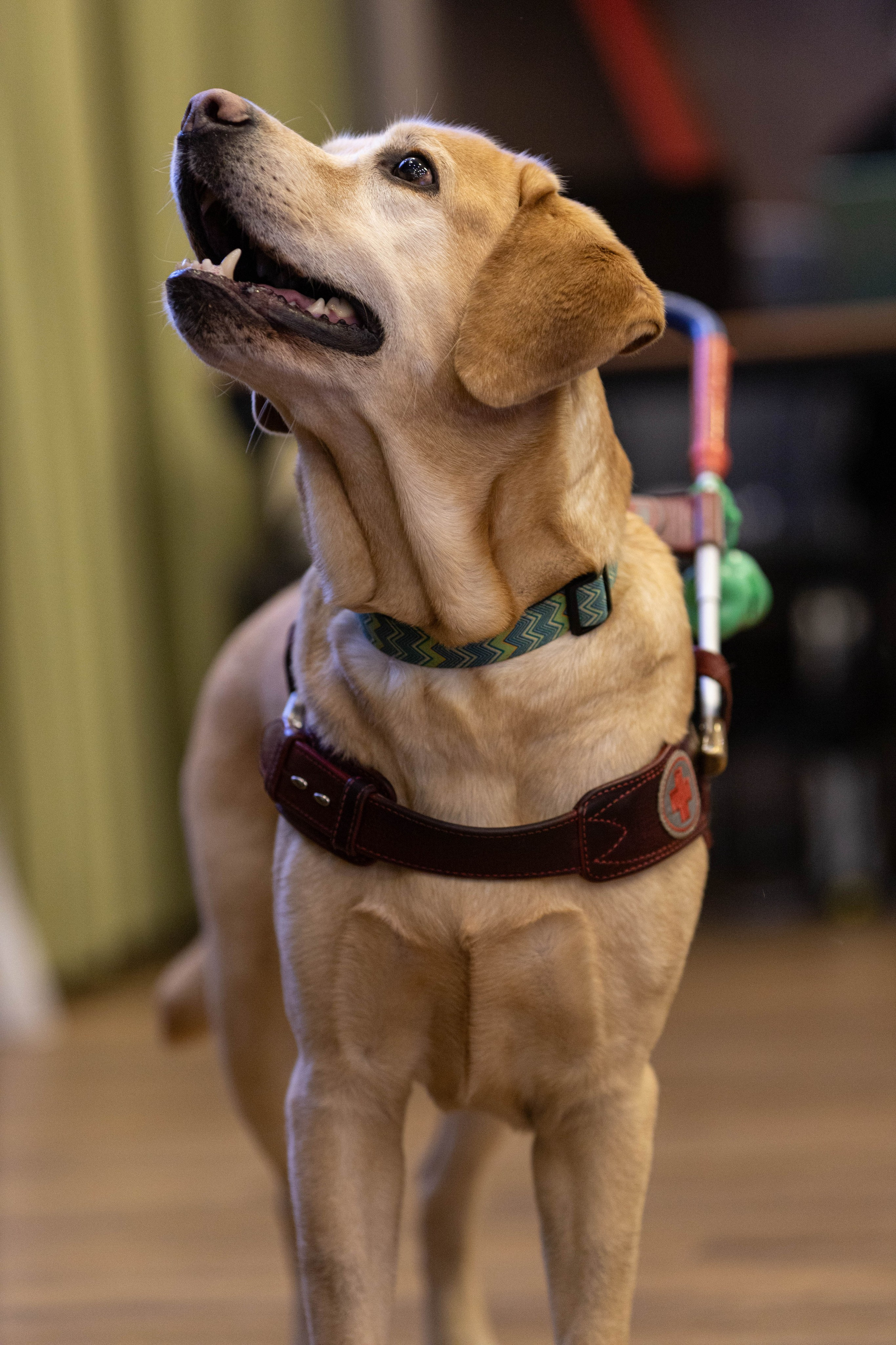 Репортажная съемка. Сайт фотографа Ксении Политовой