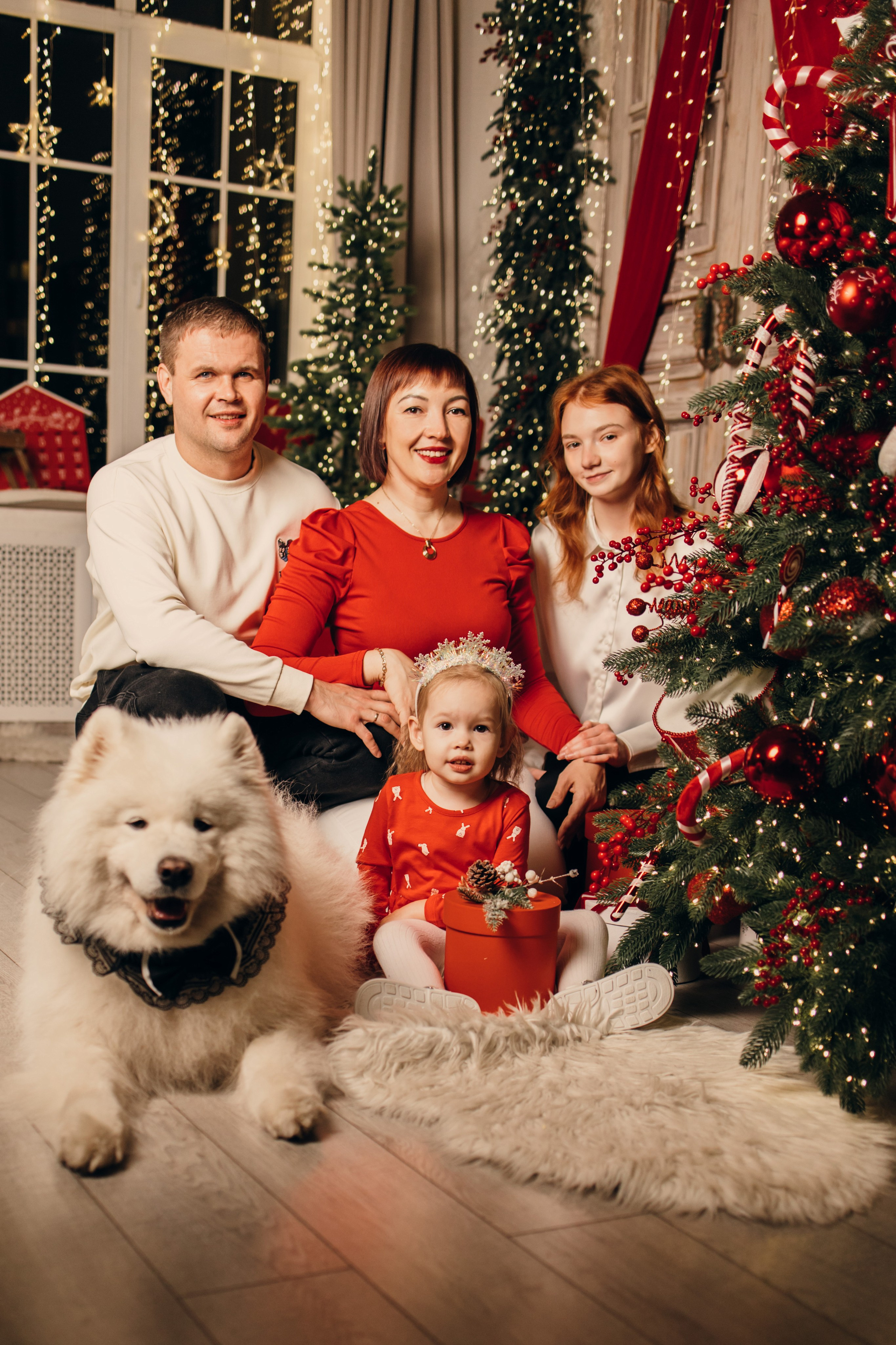 Новогодний самоед. Коновалова Ольга | фотограф в Пензе и Заречном