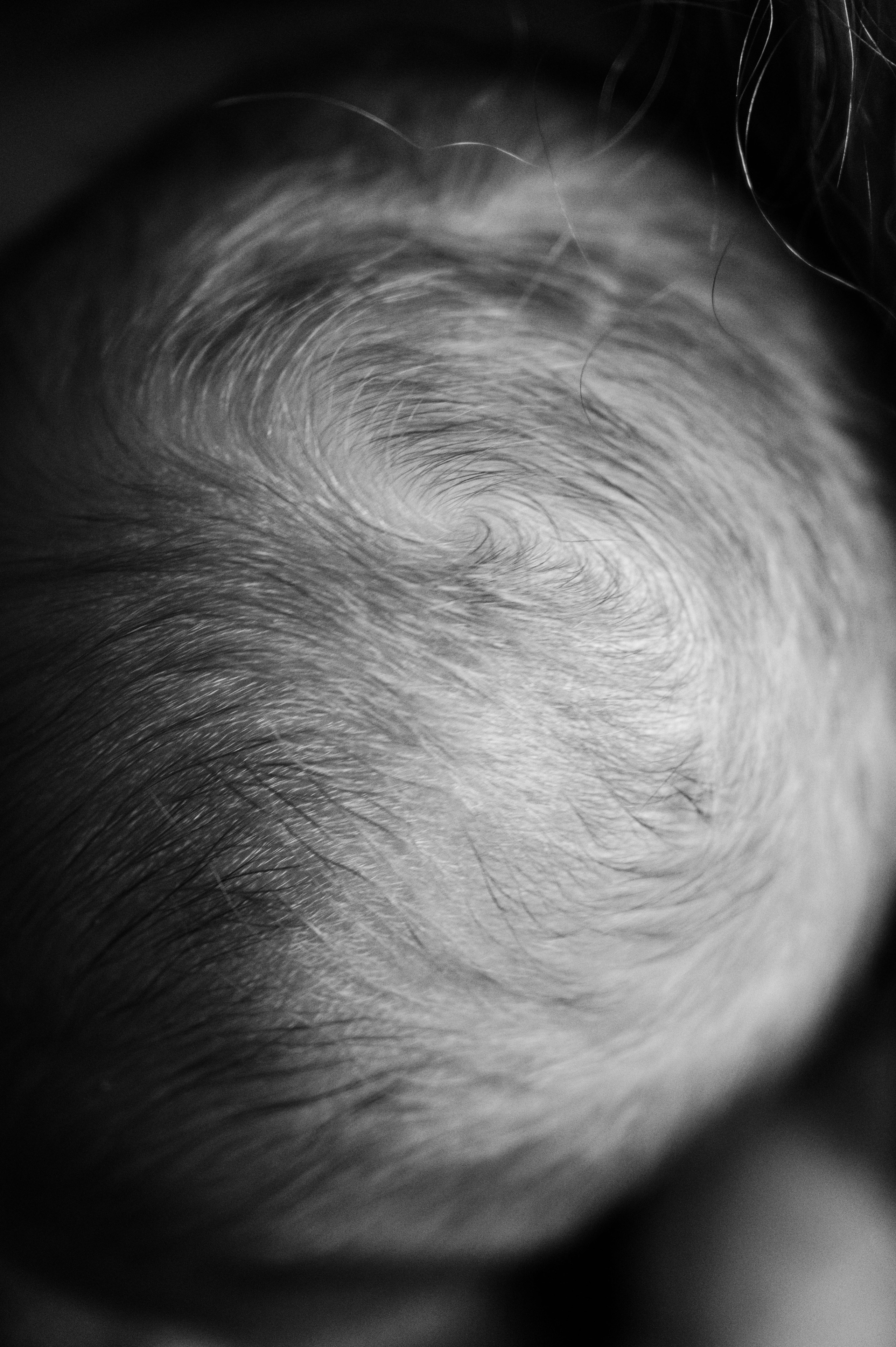 Лизавета, Никита и Мирослава. Фотограф беременности и семьи, домашние съемки, Ньюборн