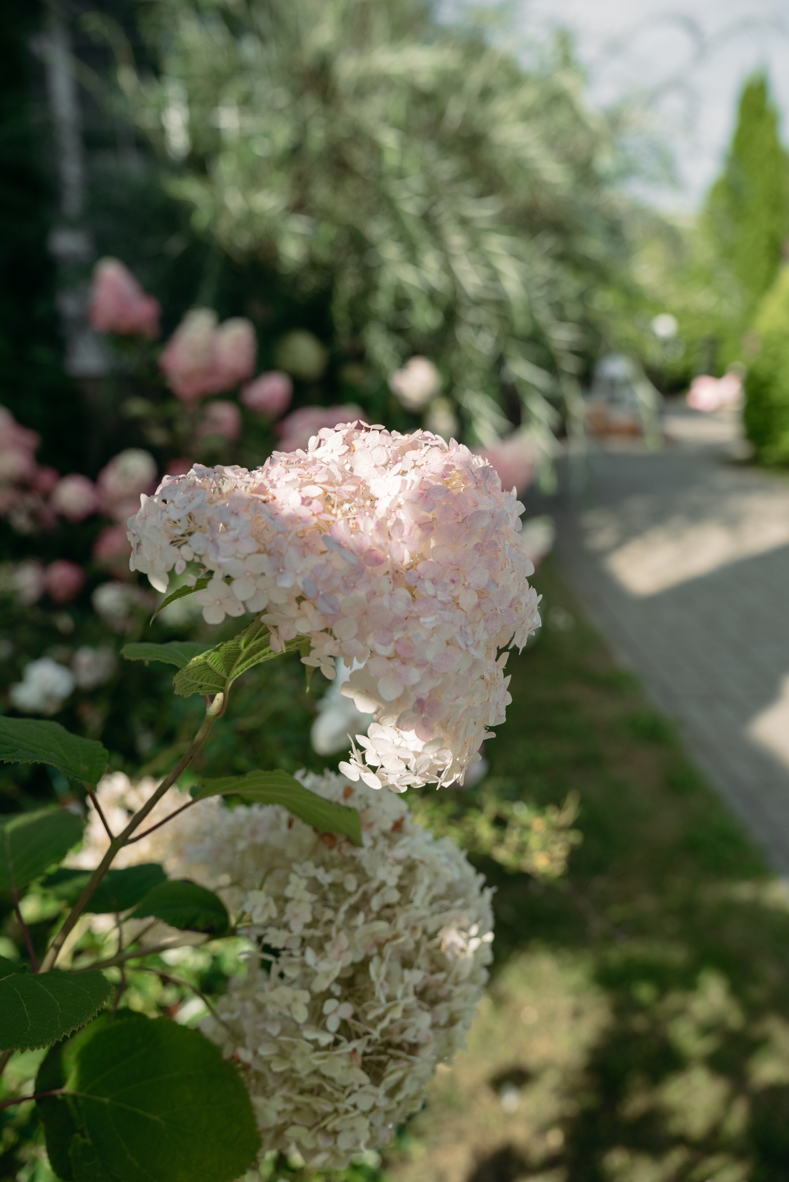 Inessa Happy 30. Фотограф в Минске