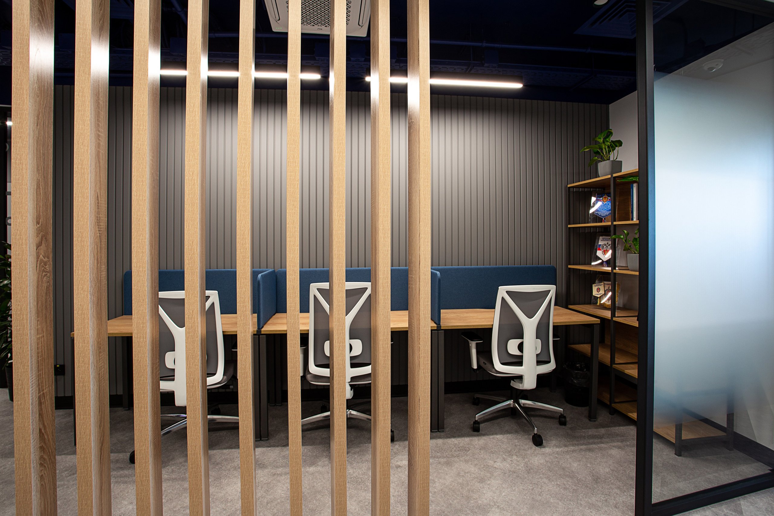 Офисы Инфотех. Контент фотограф, съемка для маркетплейсов, фуд съемка и репортажи в Новосибирске Ралия Галеева