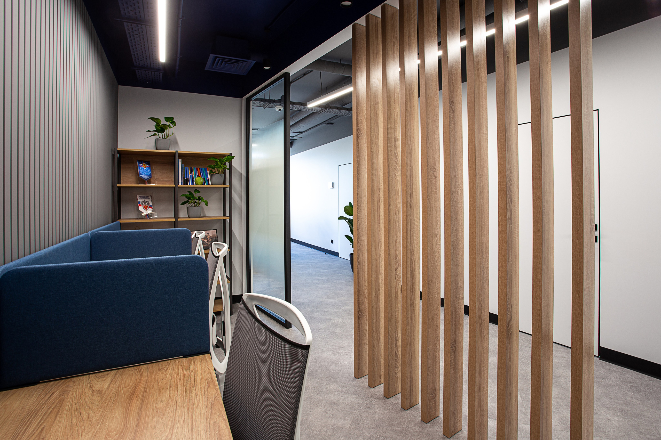 Офисы Инфотех. Контент фотограф, съемка для маркетплейсов, фуд съемка и репортажи в Новосибирске Ралия Галеева