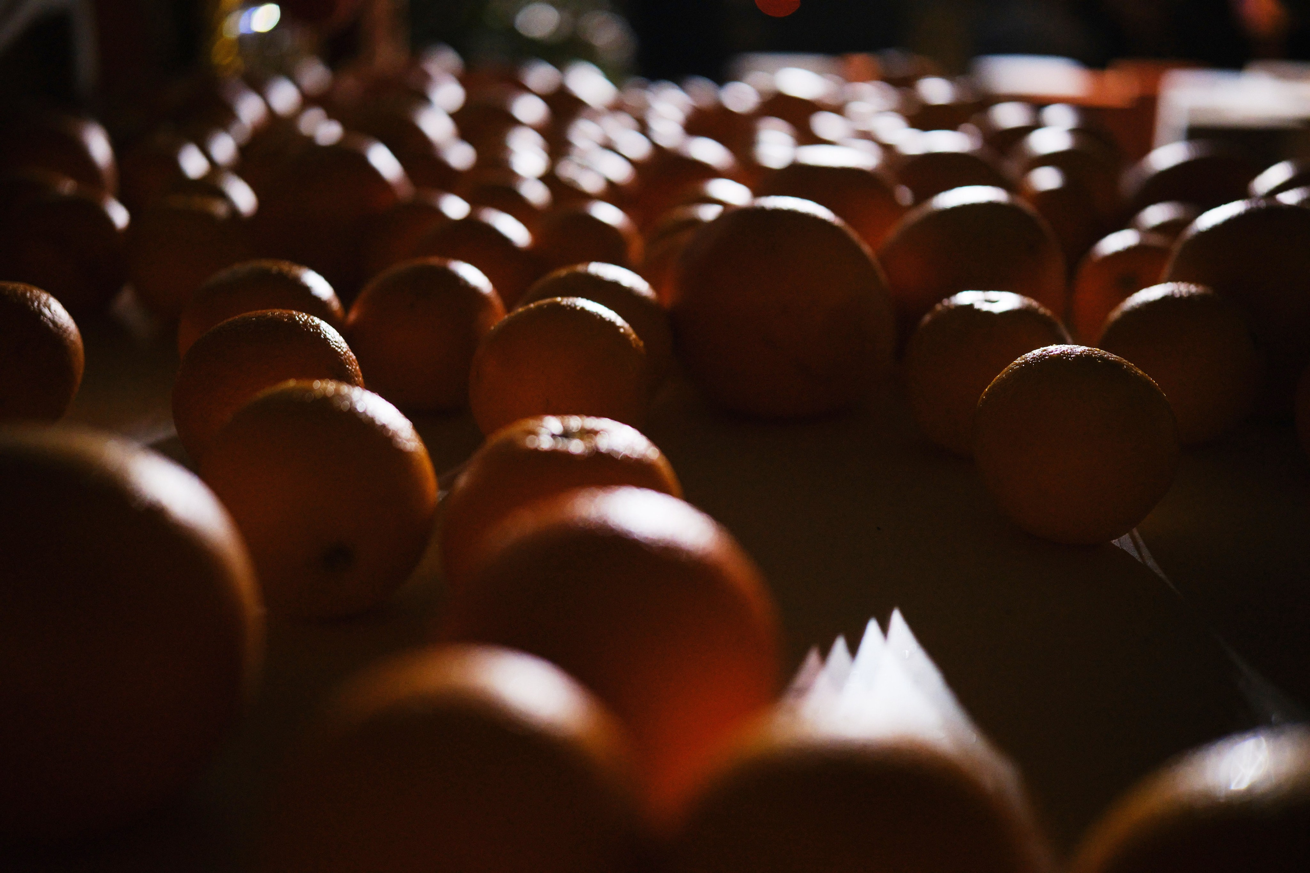 Виктор и Яна. Фотограф Елена Маринина Москва