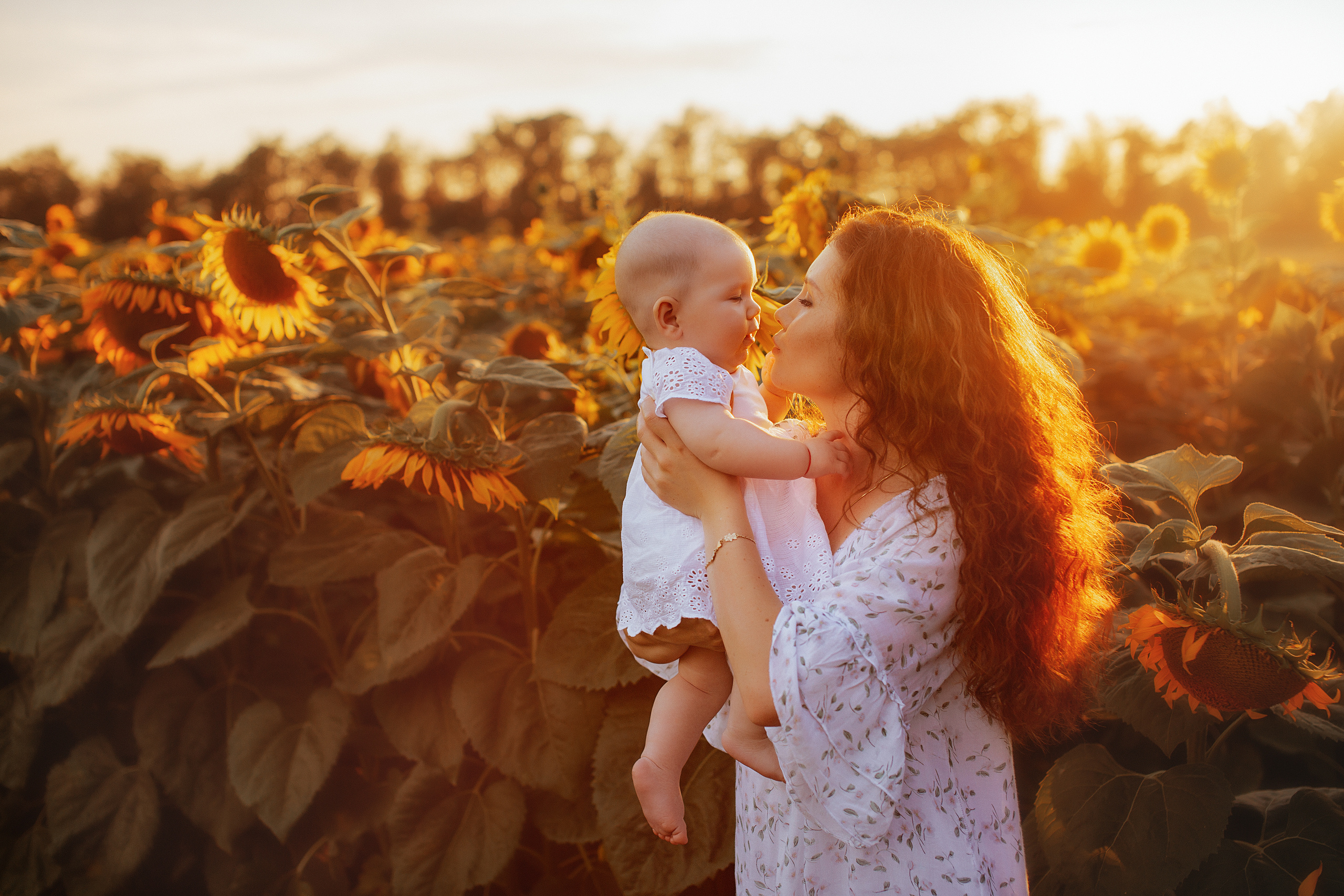 Семейная в подсолнухах. Свадебный и семейный фотограф/видеограф в Краснодаре Наталья Осинская