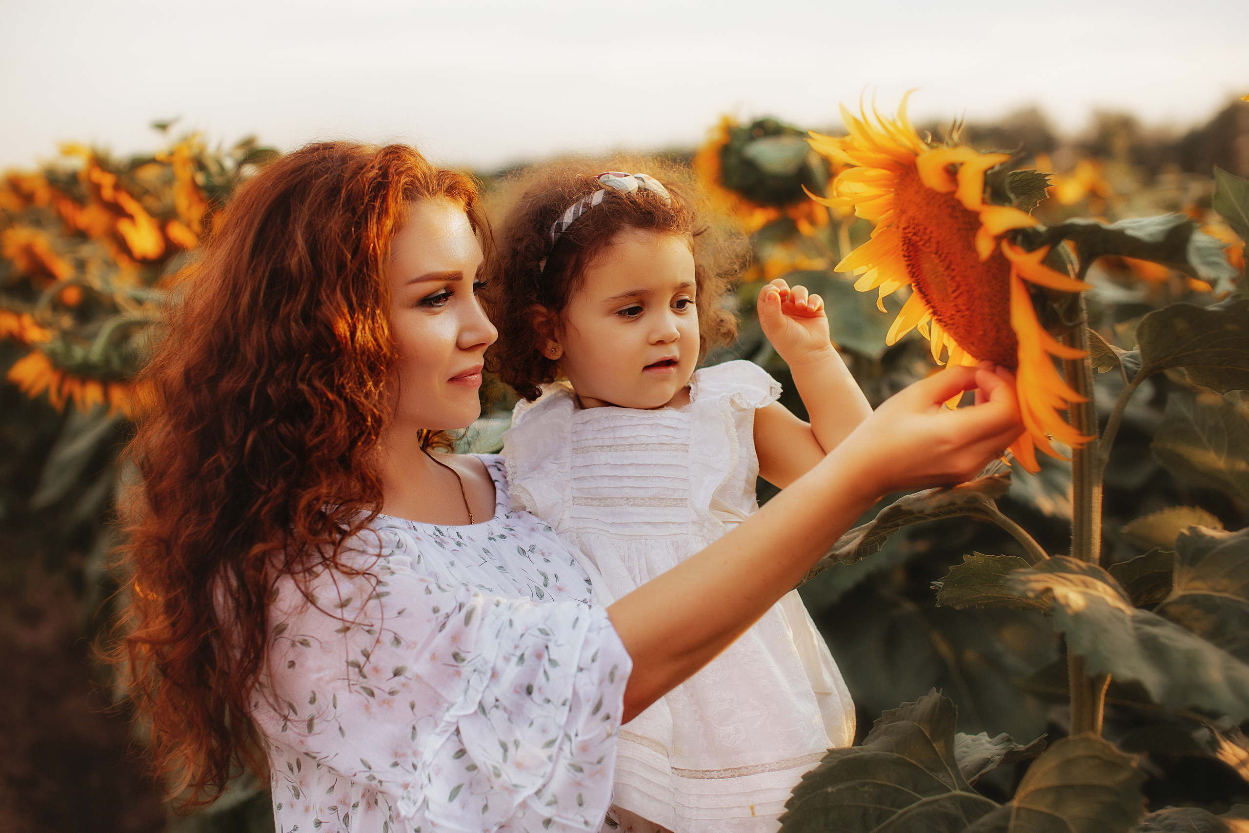 Семейная в подсолнухах. Свадебный и семейный фотограф/видеограф в Краснодаре Наталья Осинская
