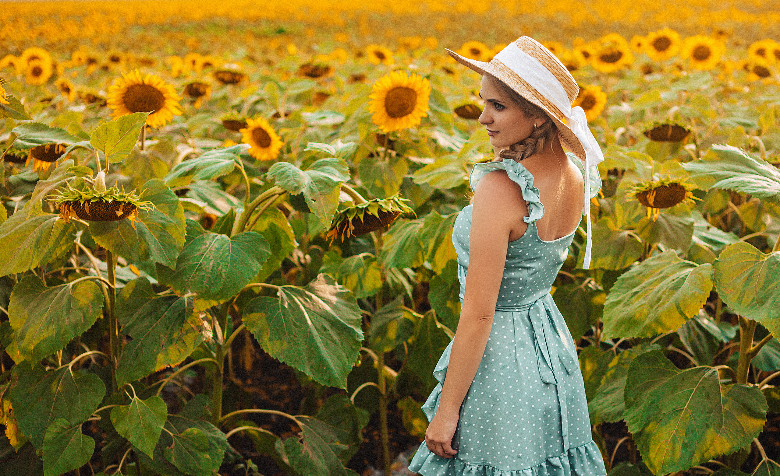 Съёмка в подсолнухах. Свадебный и семейный фотограф/видеограф в Краснодаре Наталья Осинская