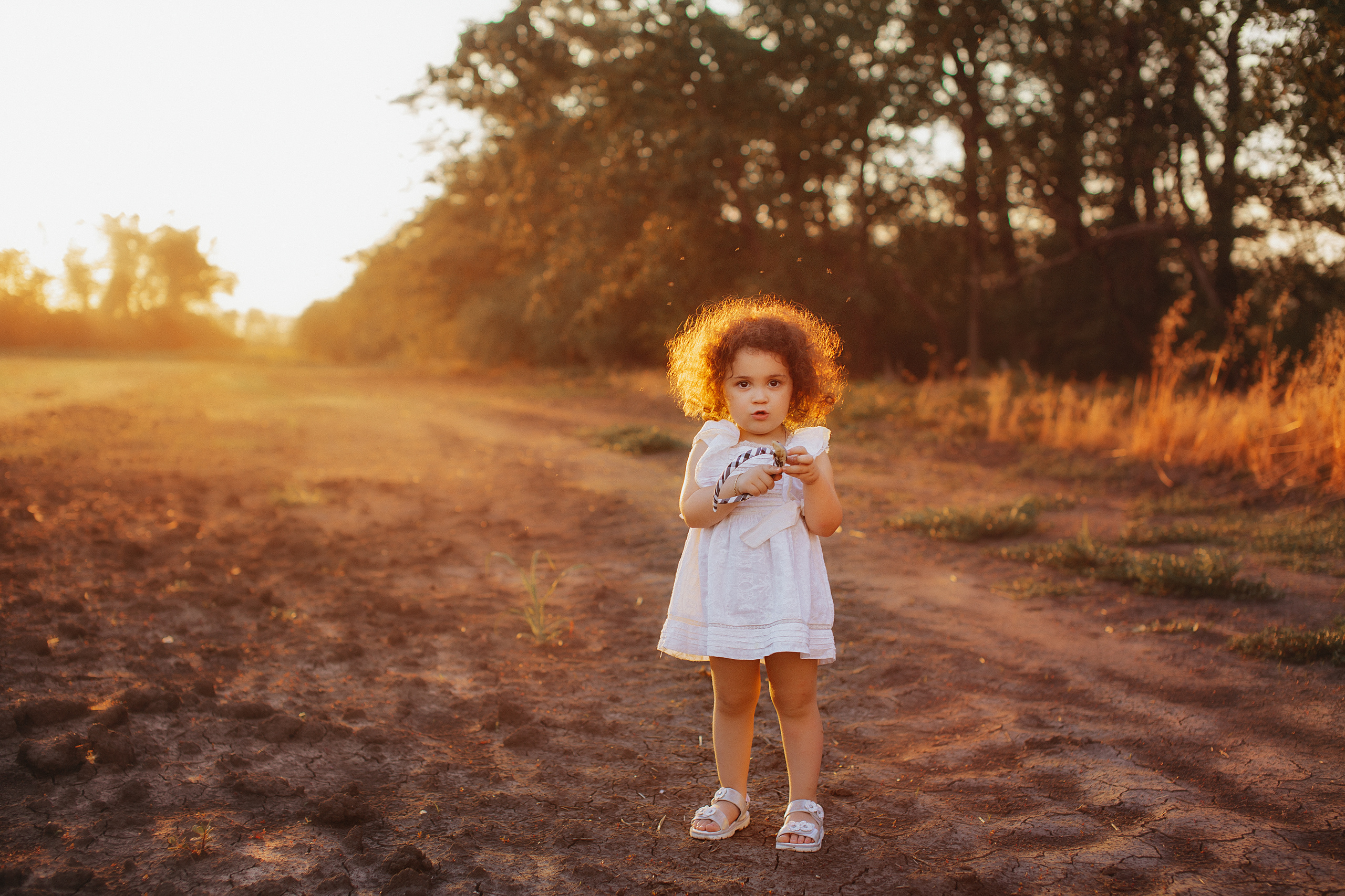 Семейная в подсолнухах. Свадебный и семейный фотограф/видеограф в Краснодаре Наталья Осинская