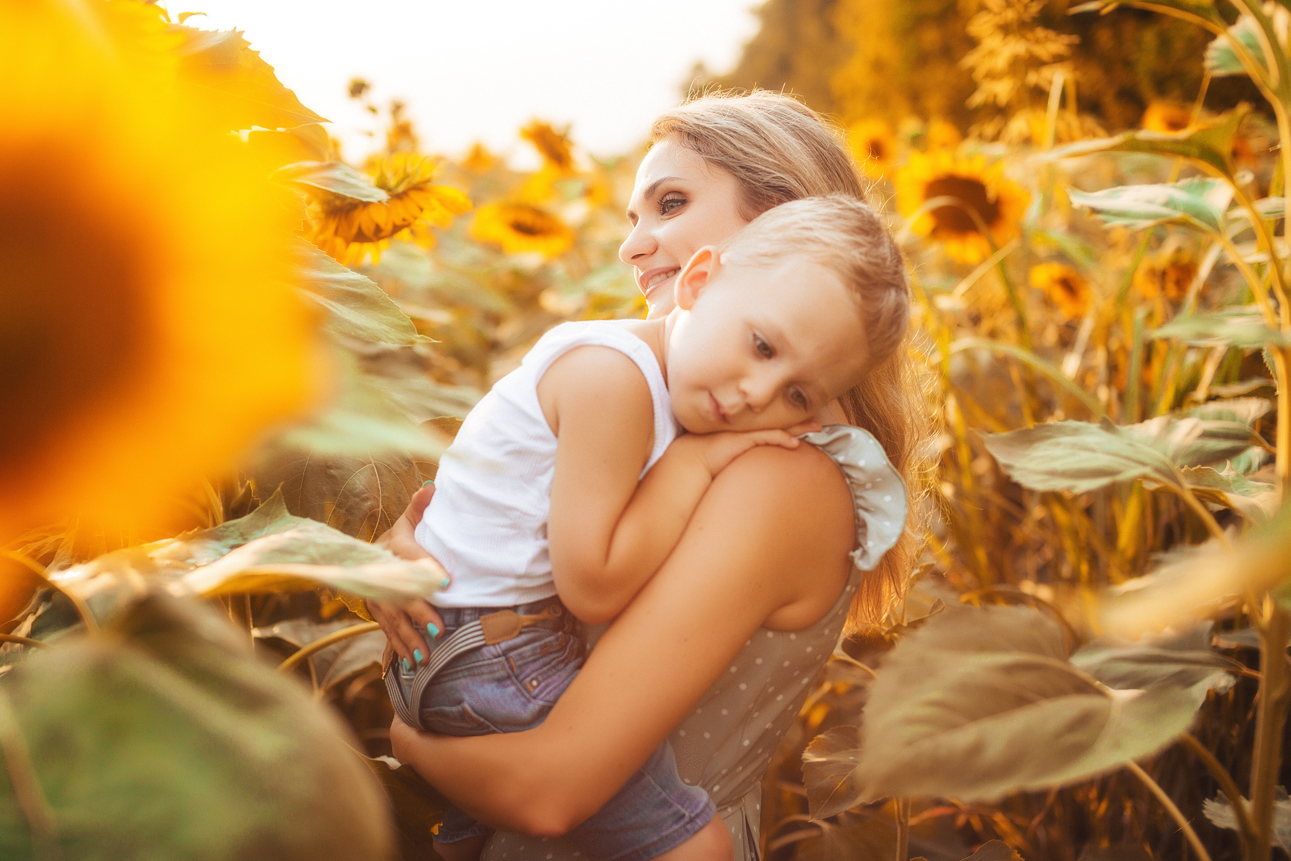 Съёмка в подсолнухах. Свадебный и семейный фотограф/видеограф в Краснодаре Наталья Осинская