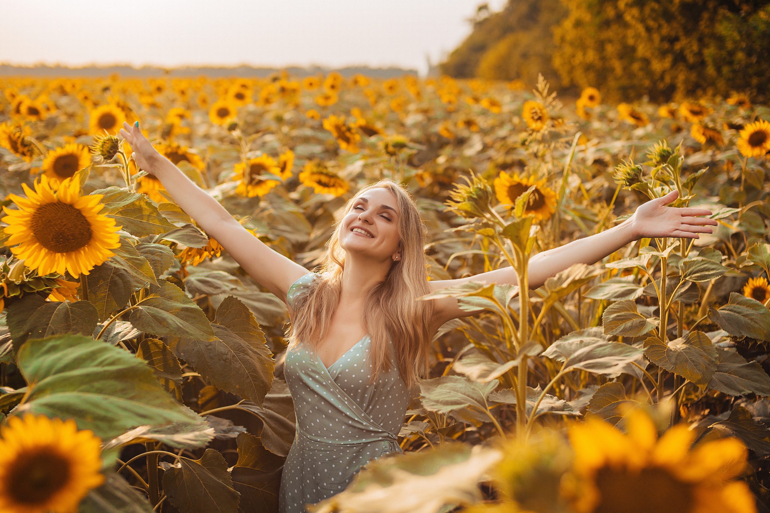 Съёмка в подсолнухах. Свадебный и семейный фотограф/видеограф в Краснодаре Наталья Осинская