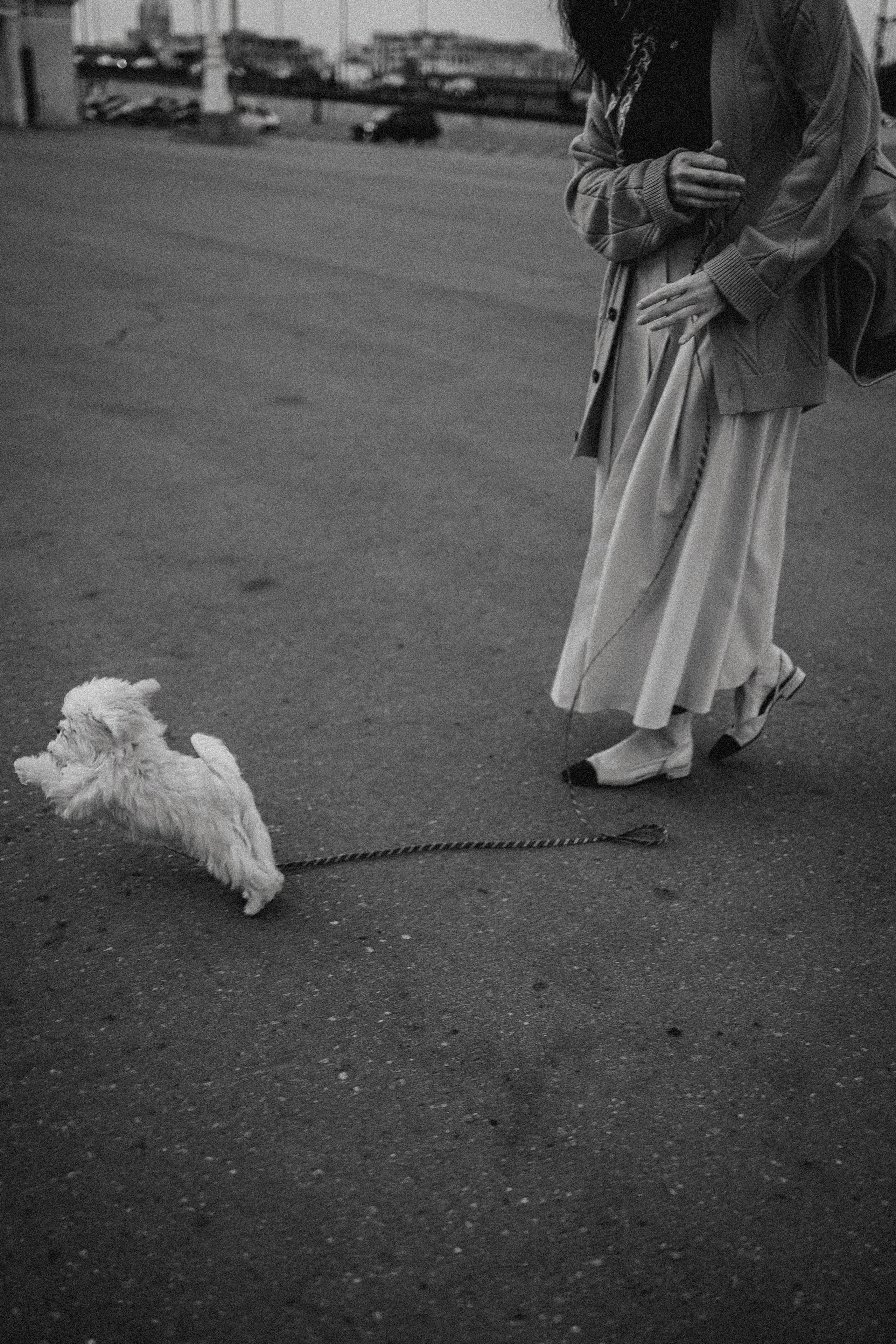 Оля и Бри. Фотораф — анималист Мария Шистка