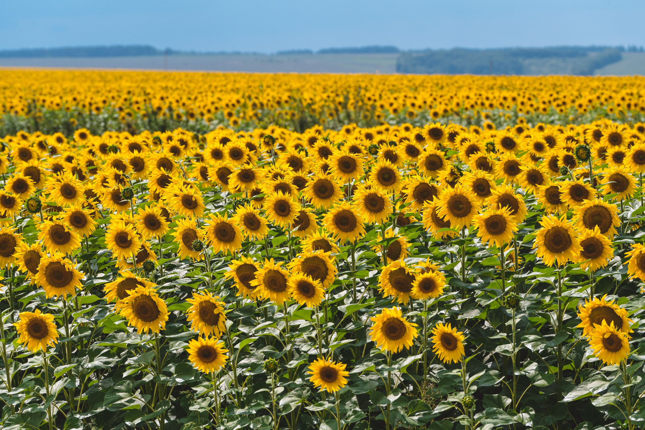 Где-то на M4, ближе к Ростову