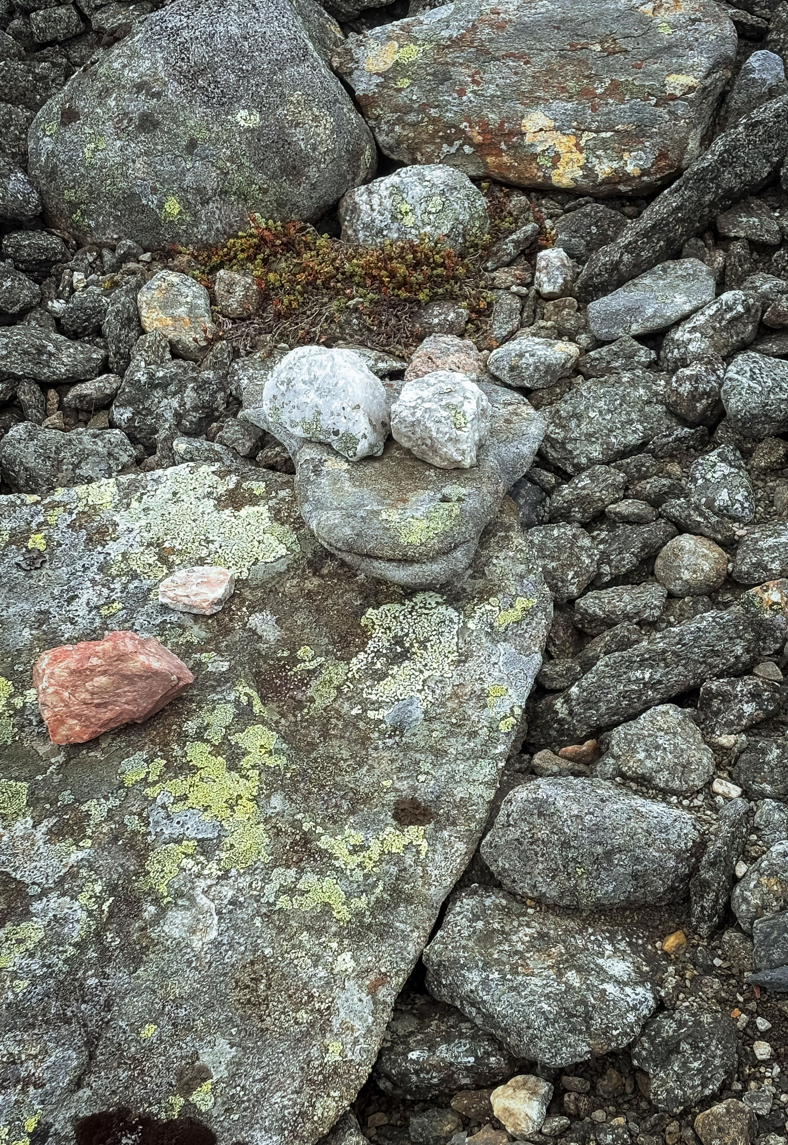 Кольский (осень 2025). Фотограф Виноградов Константин