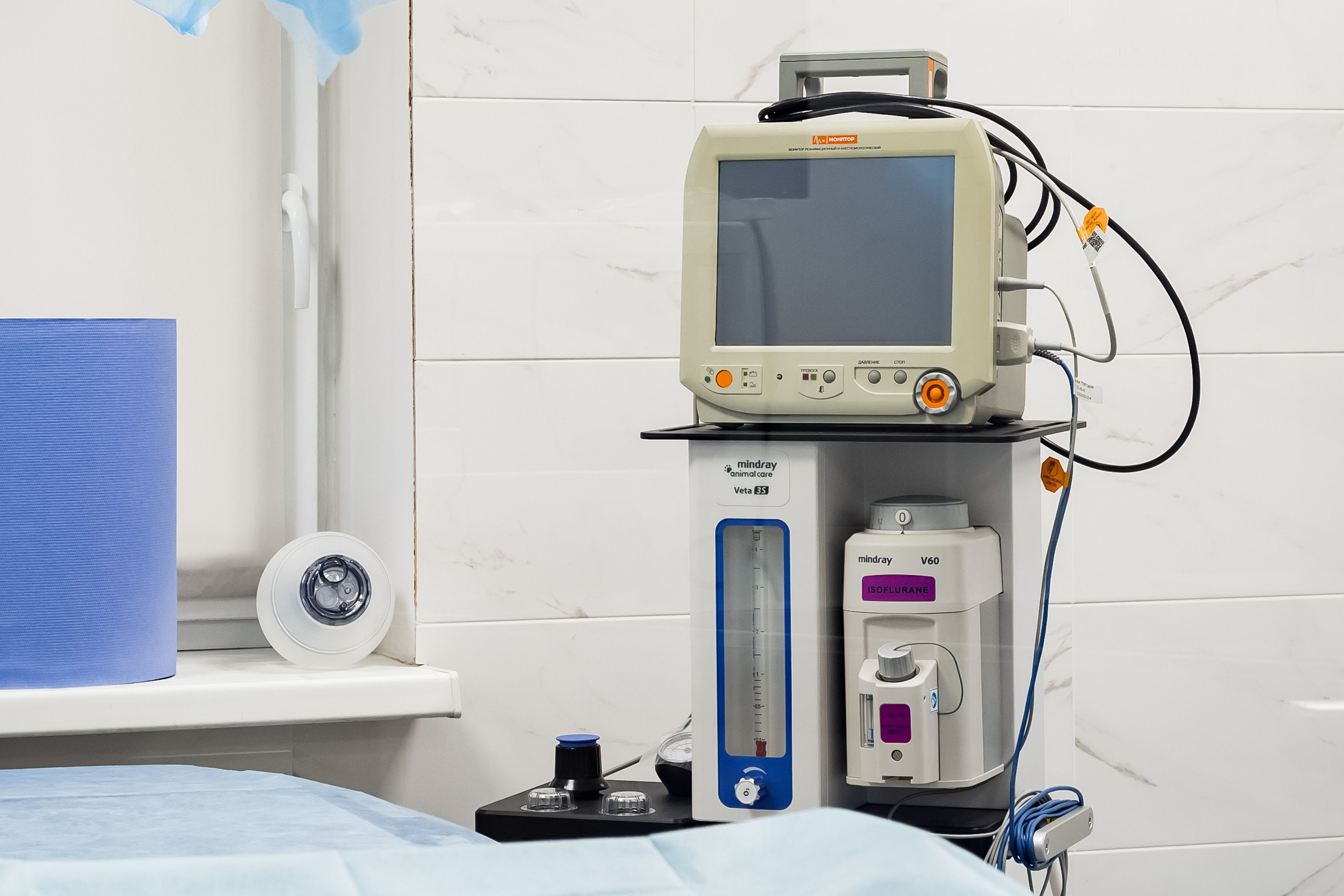 Интерьерная съемка для ветеринарной клиники КотОся. Интерьеры, Контент, Портреты | Фотограф в Москве Дани Терно