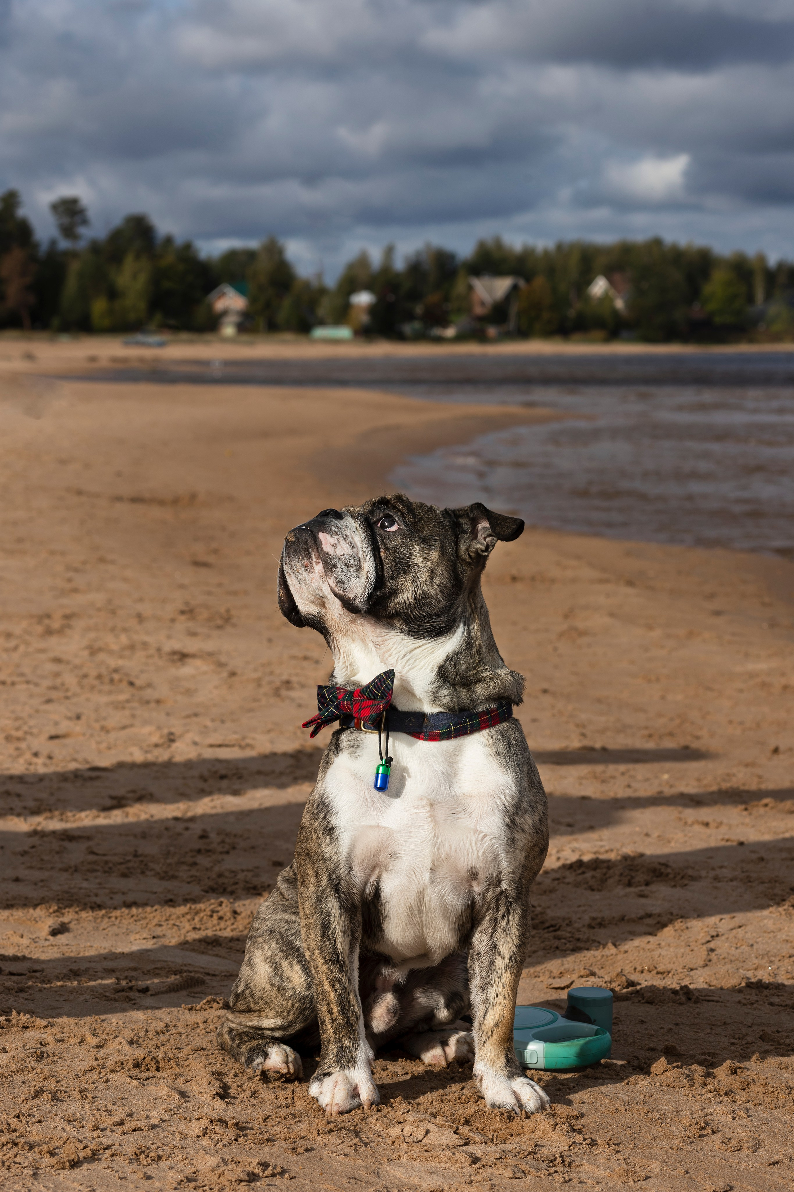 Мария и семья. Свадебный фотограф Екатерина Чаусова