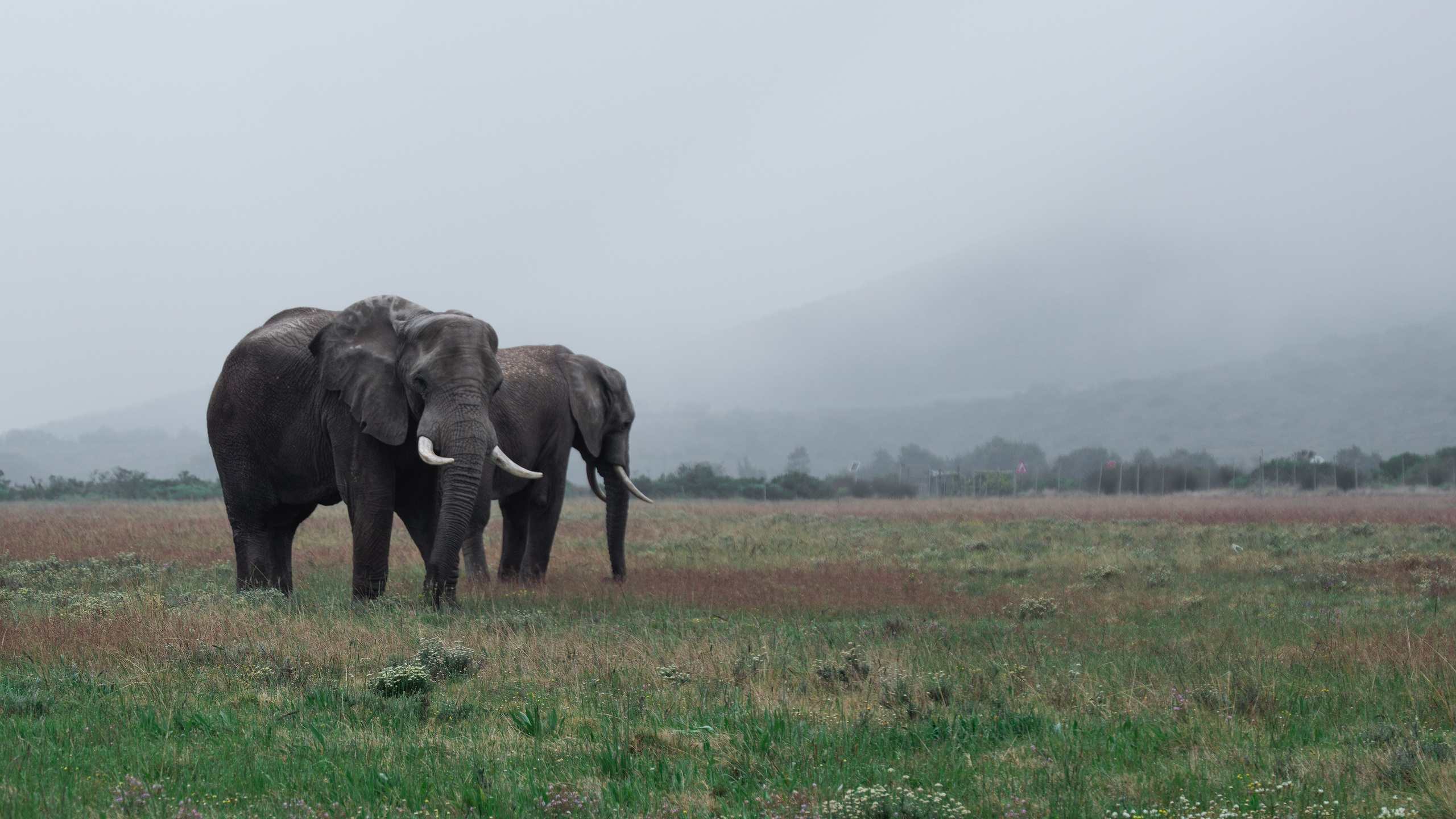 Africa/UAR. @oljiofilm: Олег Иванов — фотограф