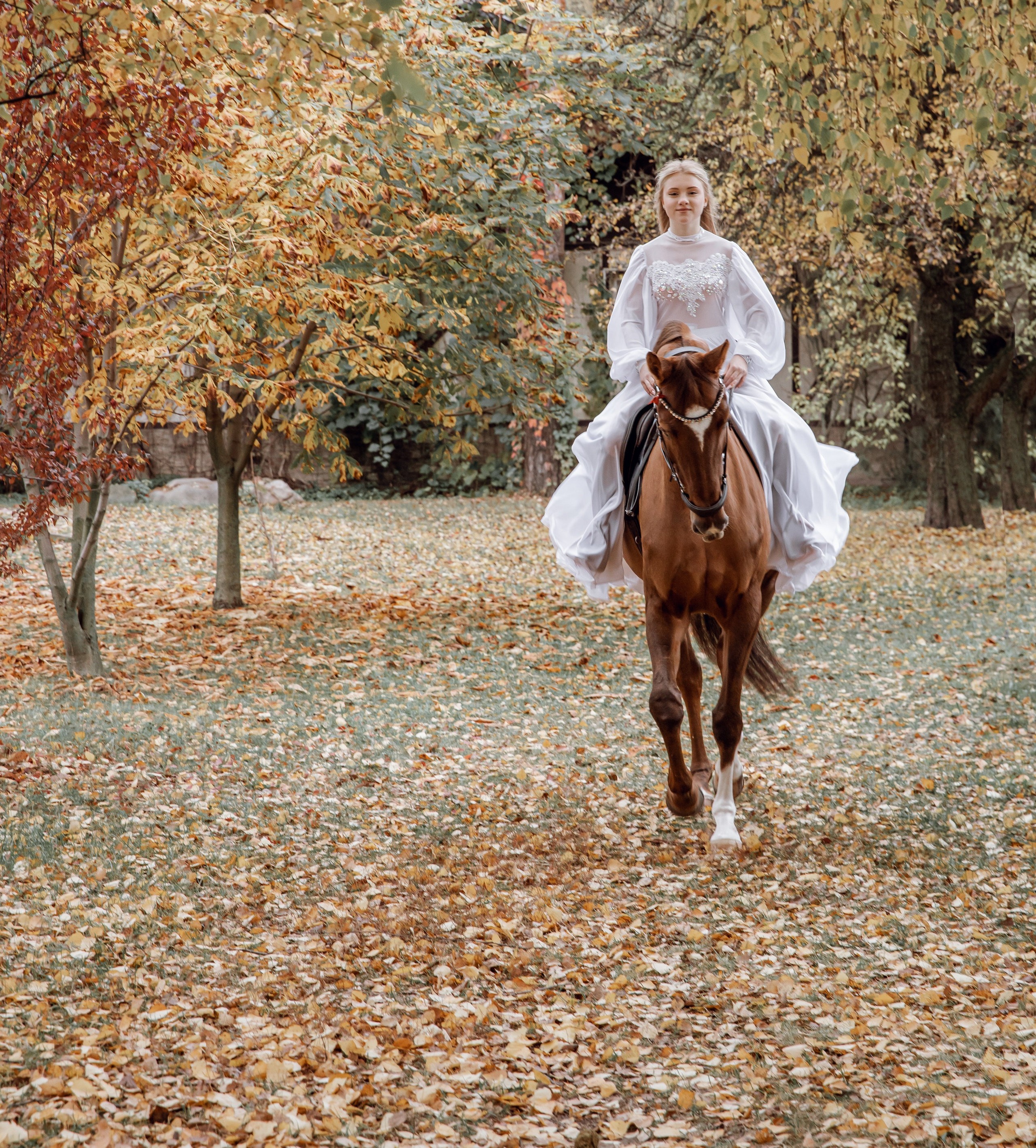 Диана конный клуб «Белая дача». Портретный и семейный фотограф в Москве Ирина Голубчина