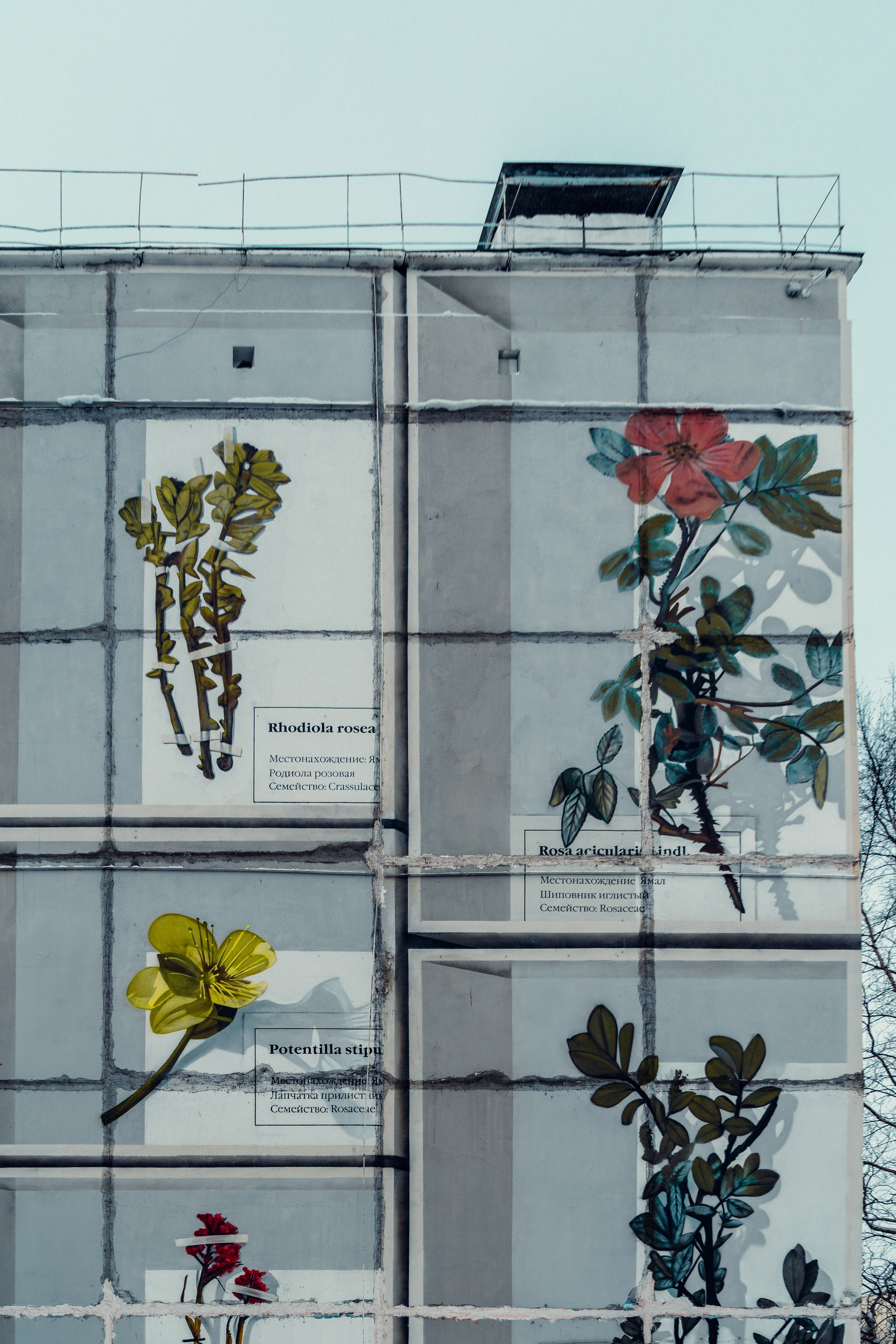 Ноябрьск, Март 2024