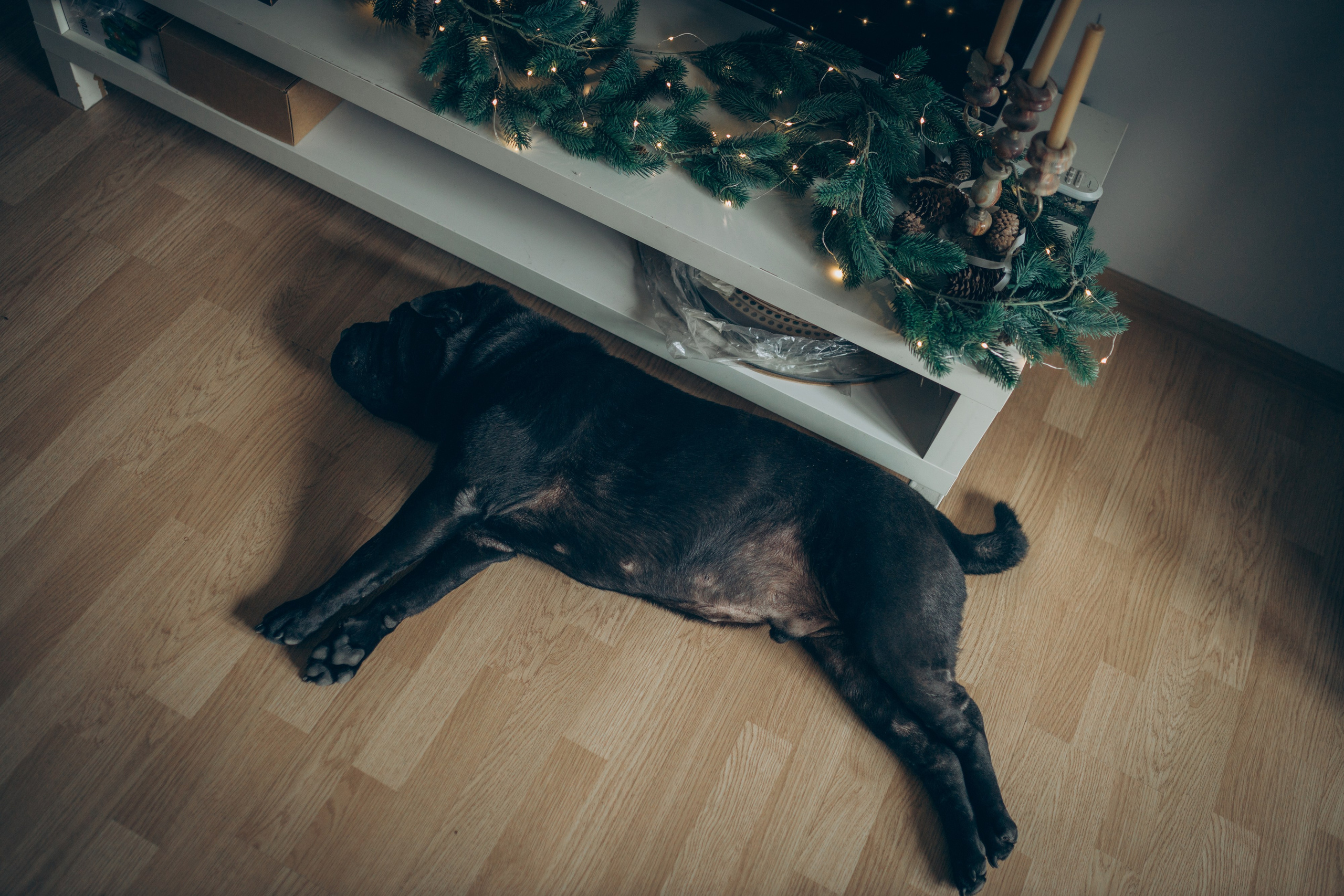 Дана. Семейный фотограф и фотограф на роды в Ростове-на-Дону Мухина Виктория