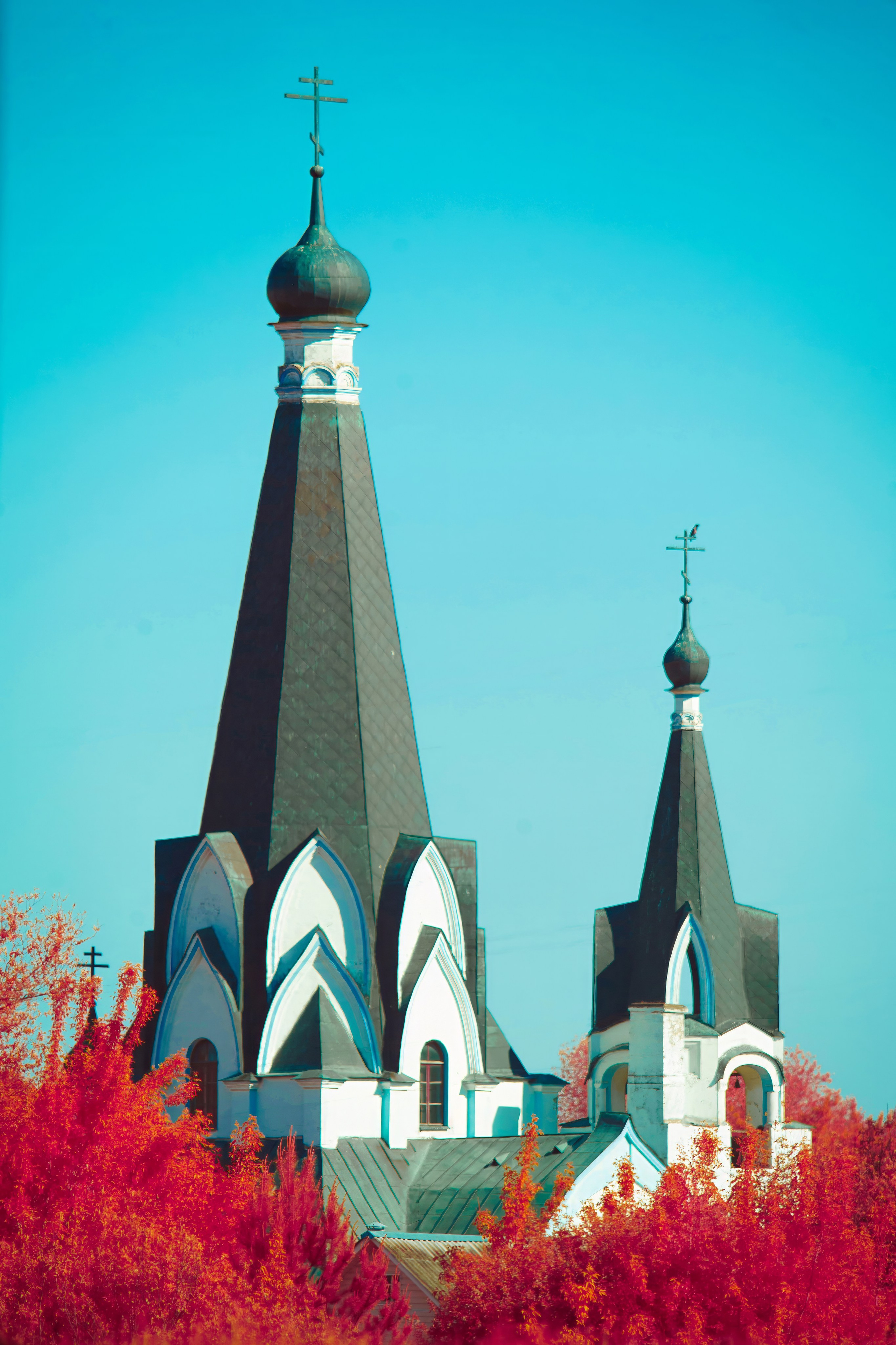 Color — Цветная