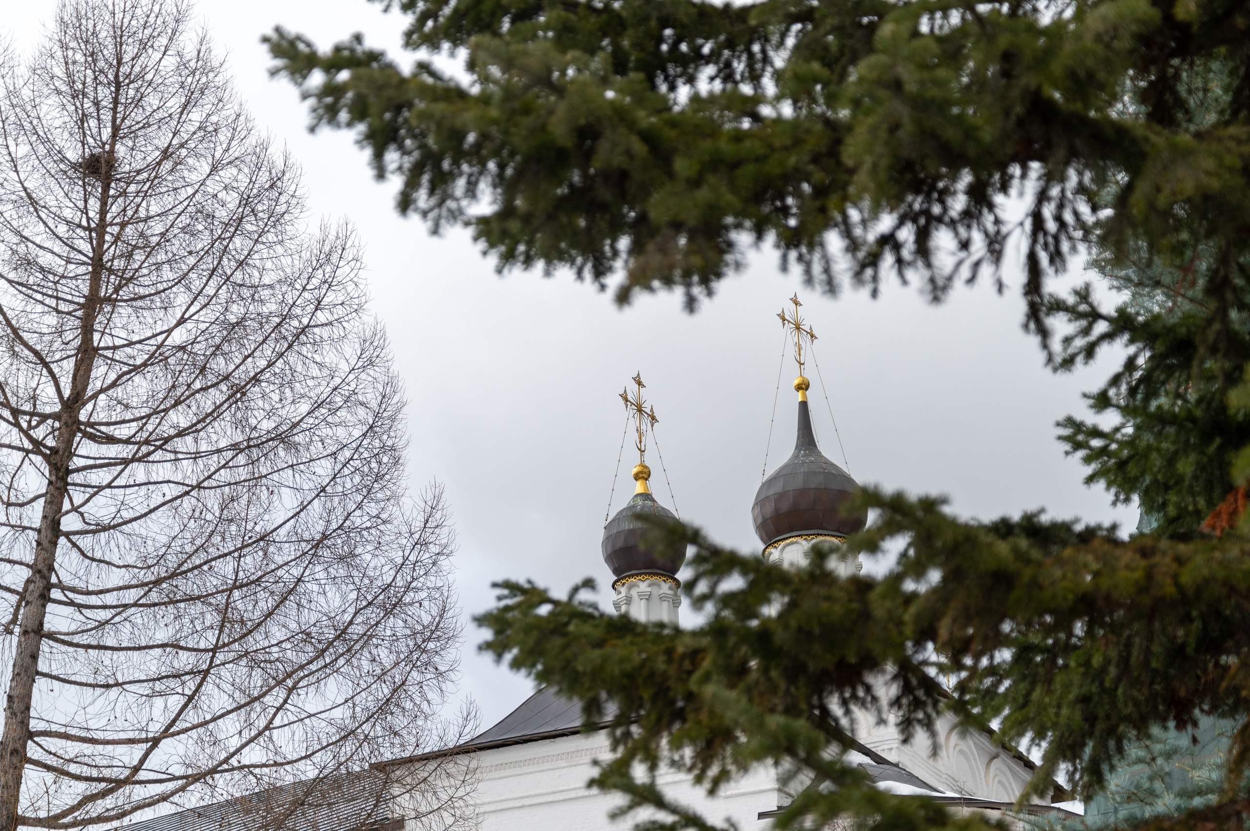 20230304 Новоспасский монастырь. Дмитрий Ремизов. Фотография, как хобби
