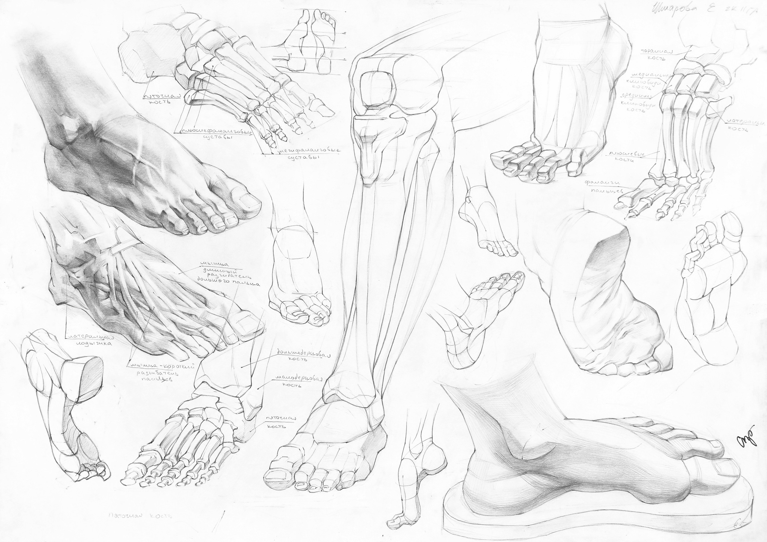 Работы студентов. Главная