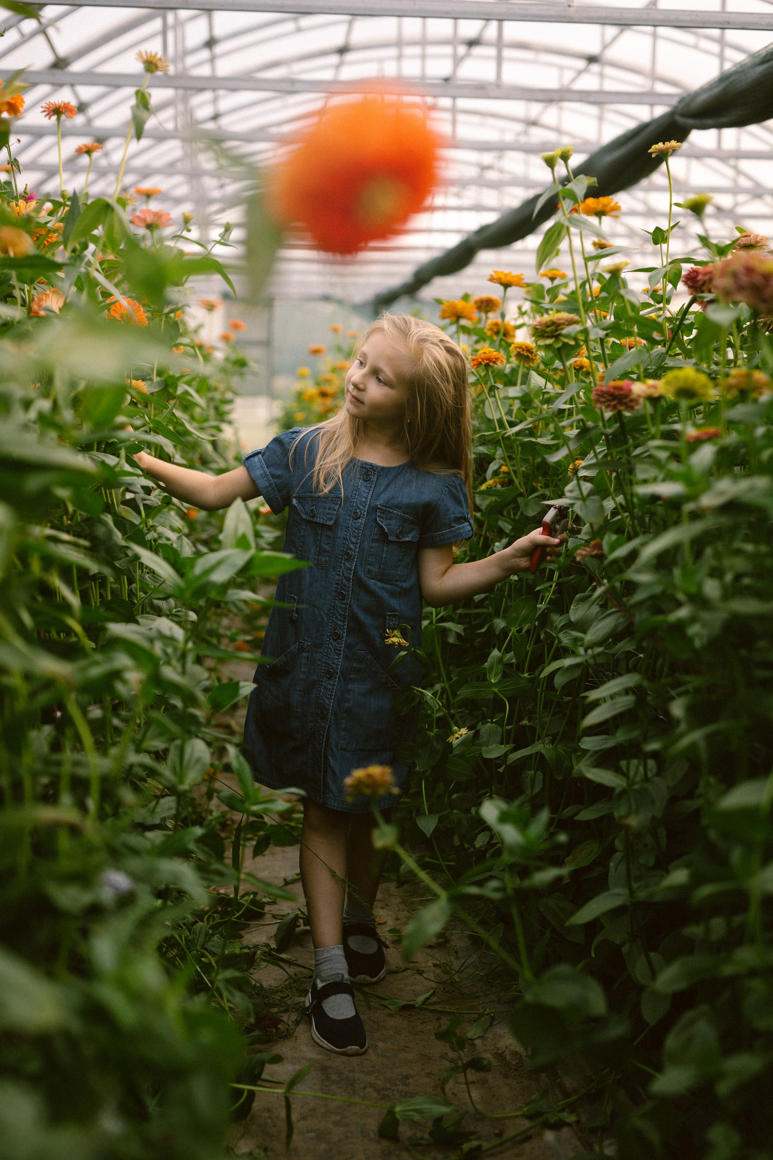 Пряный август. Варвара Синицына: семейный фотограф в Москве
