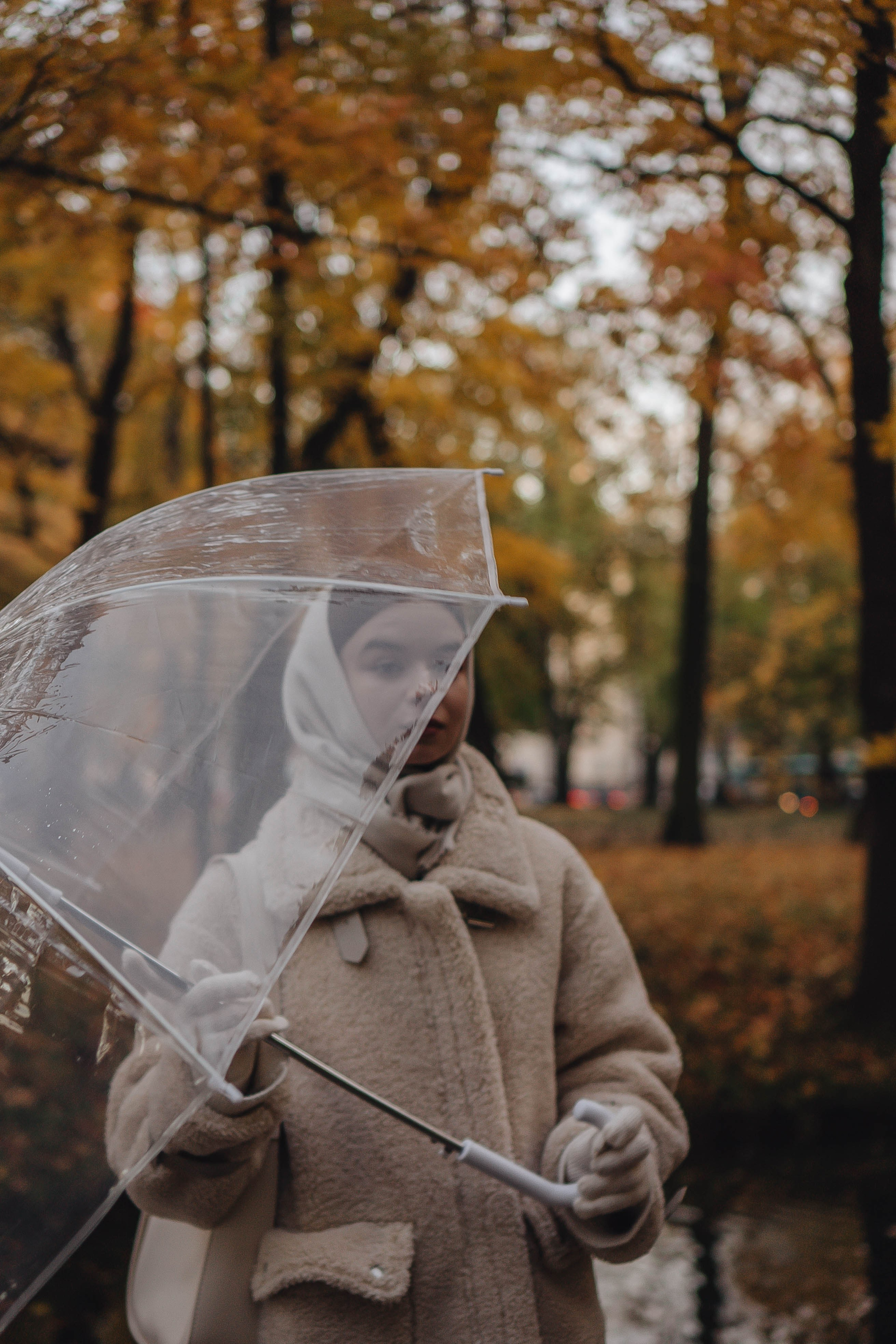 Осенняя. Профессиональный фотограф, Санкт-Петербург — Виктория Богомолова