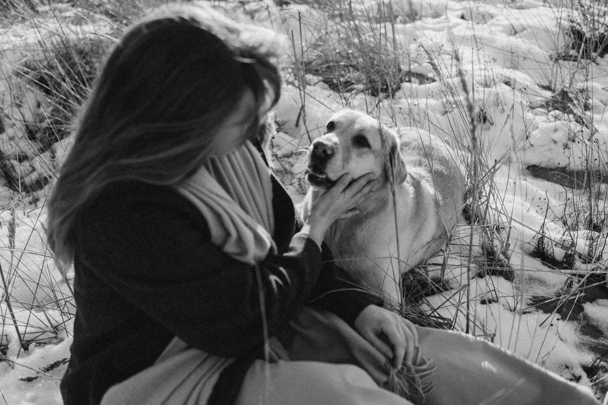 Ирина и Бася. Фотограф — Анималист | Санкт-Петербург