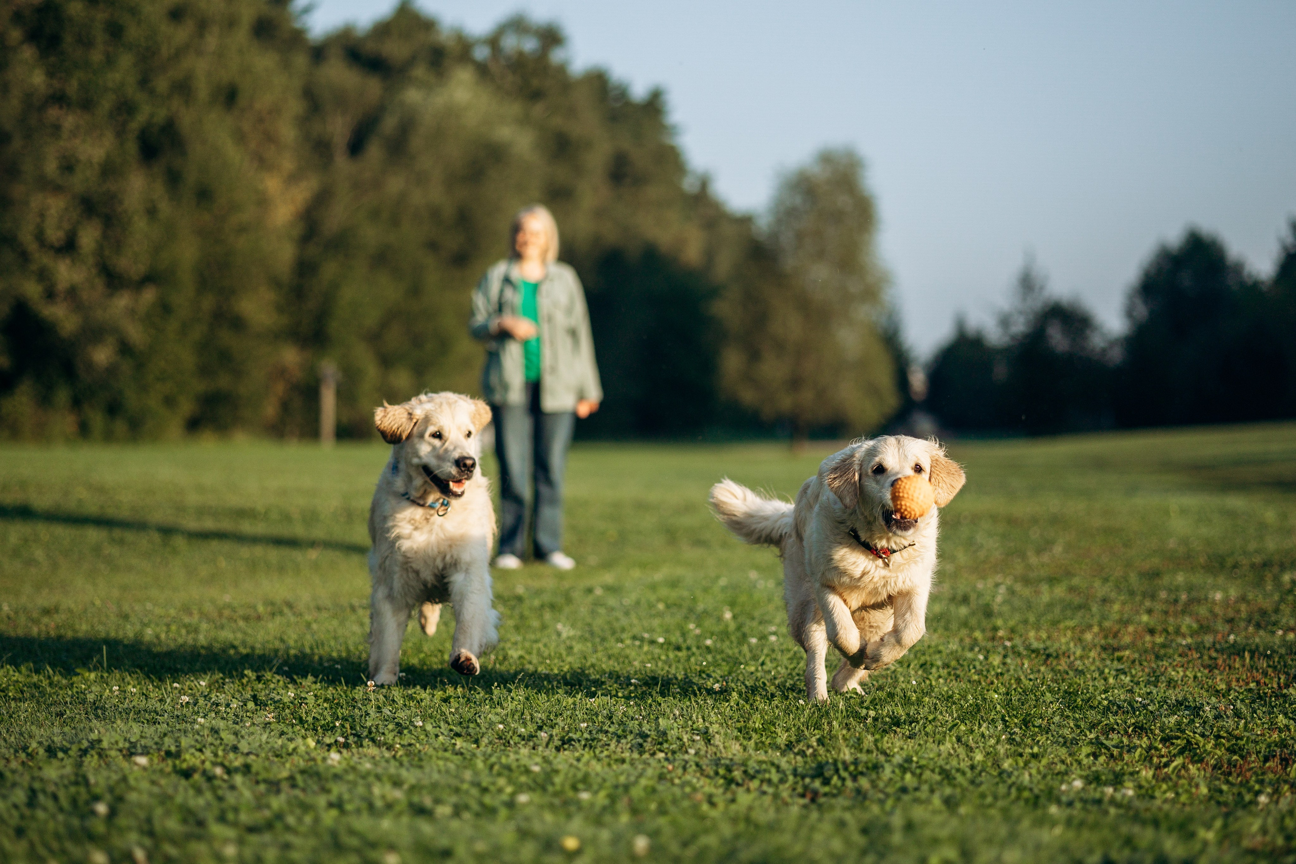 Ирина и ее золотинки. Фотограф — Анималист | Санкт-Петербург