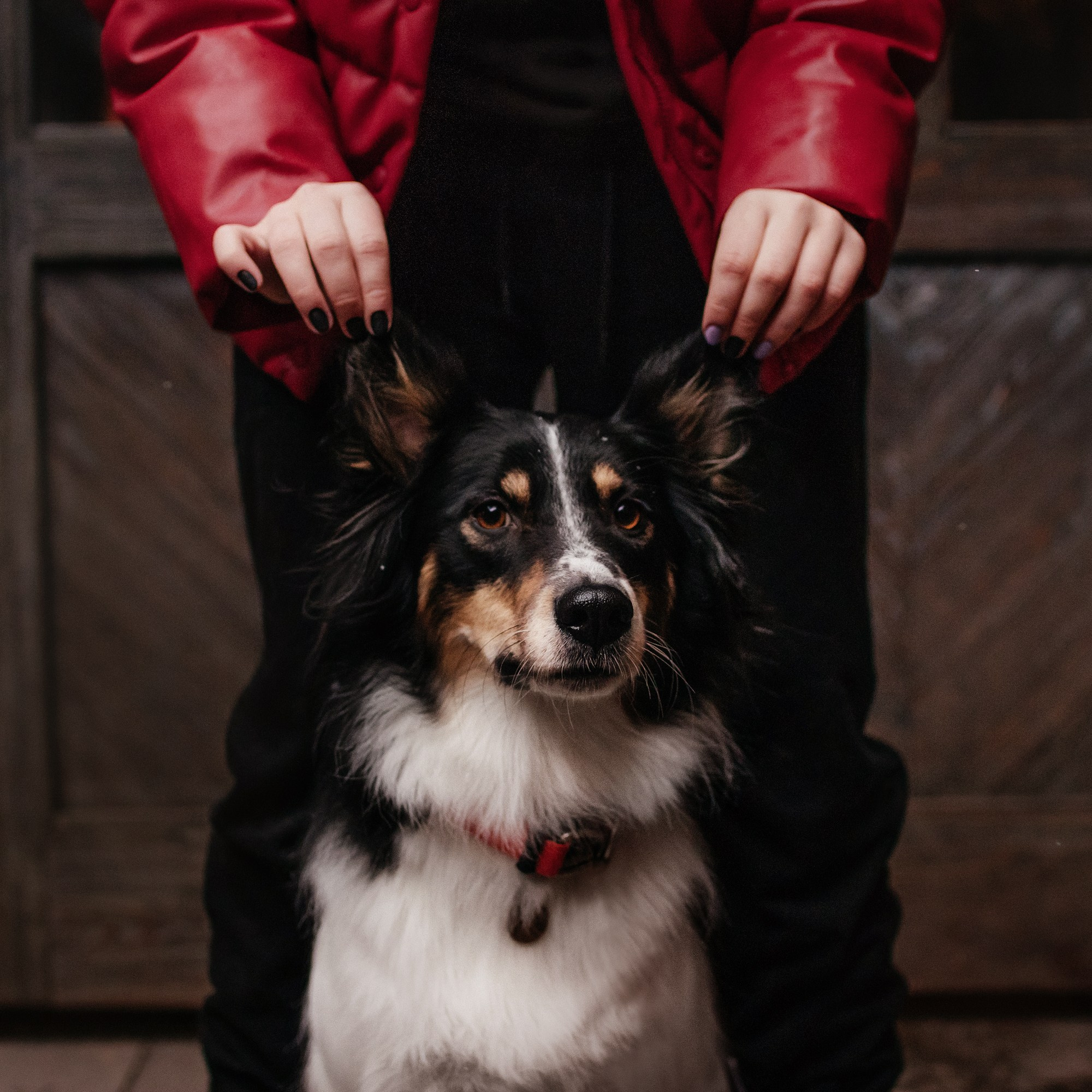 Соня и Юки. Фотограф Наталья Потапова