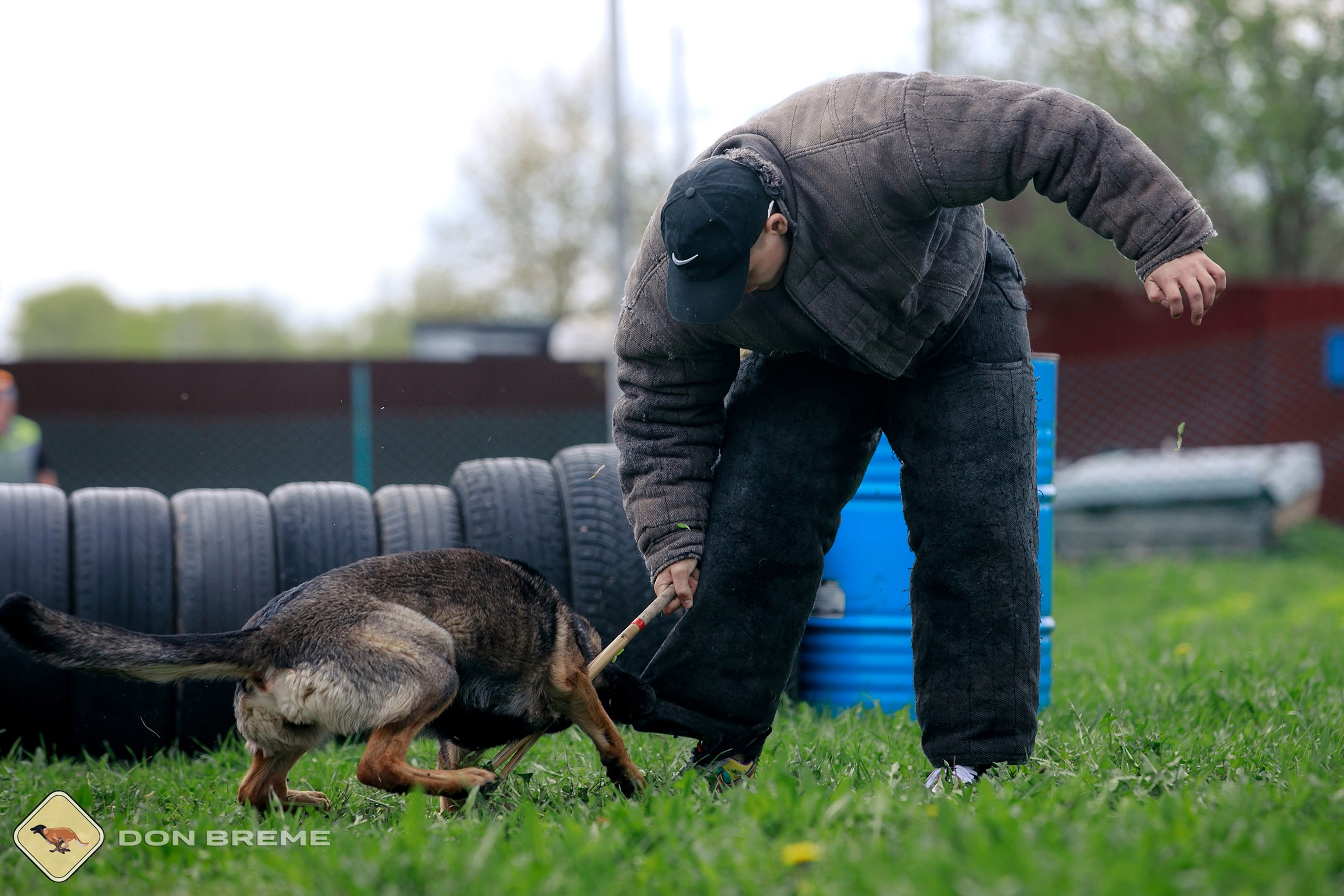 Семинар для фигурантов, день 2. Фотограф-анималист Mary Mart — Москва, Питер