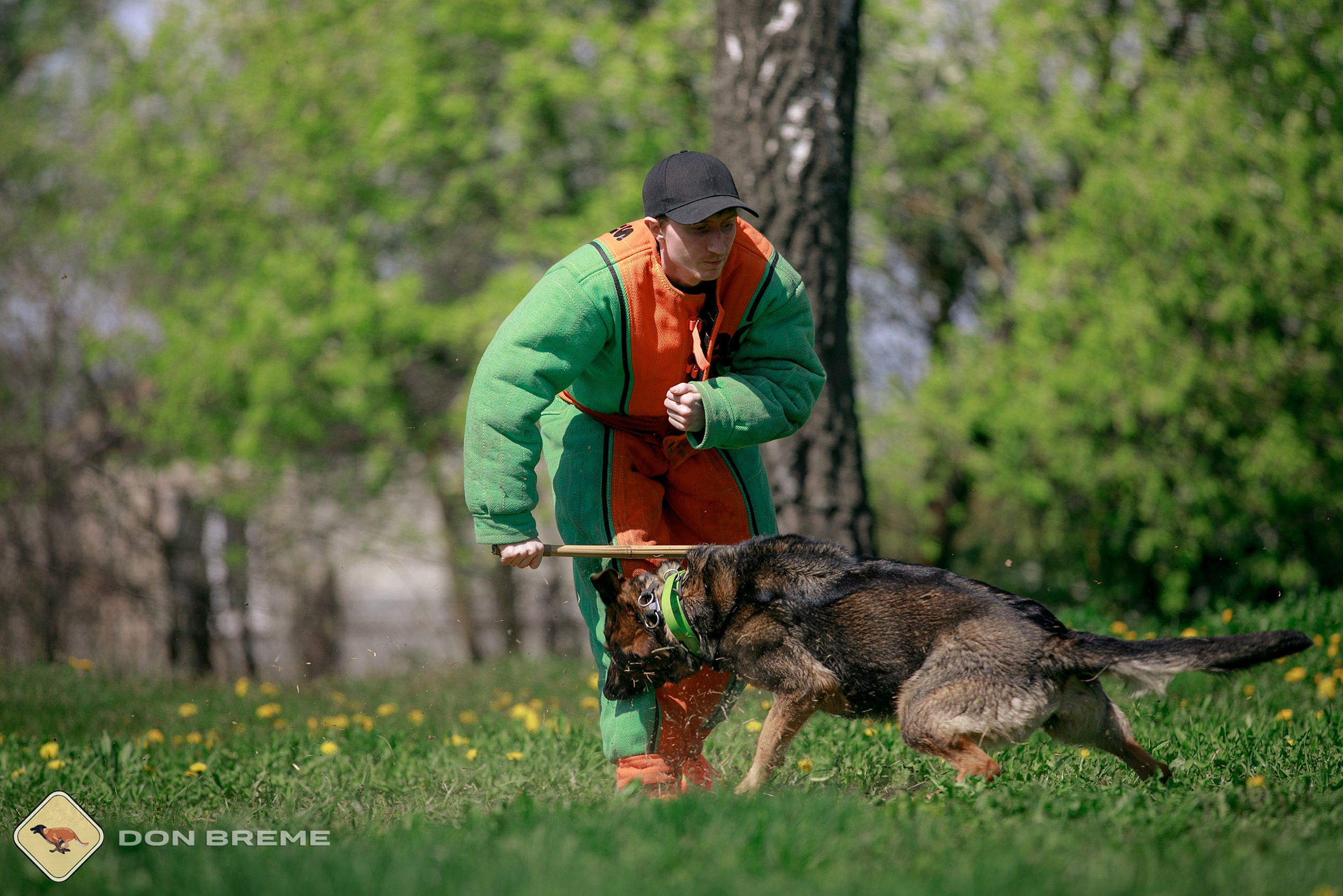 Семинар для фигурантов, день 4. Фотограф-анималист Mary Mart — Москва, Питер