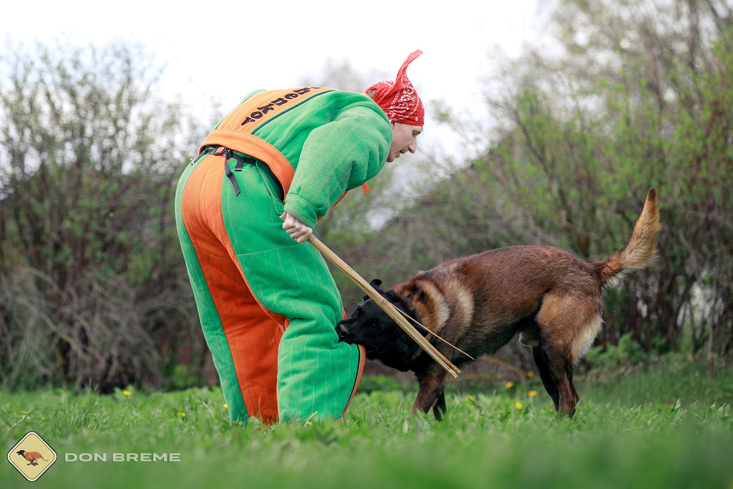Семинар для фигурантов, день 2. Фотограф-анималист Mary Mart — Москва, Питер
