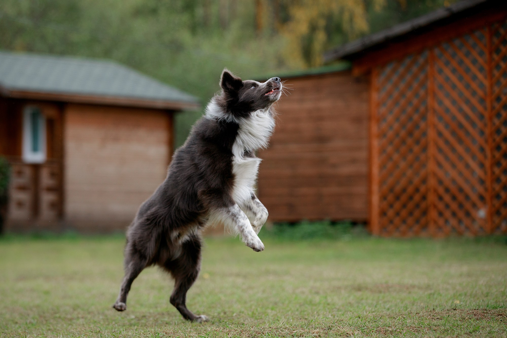 Лагерь по ОБД с Инной Баженовой. Фотограф-анималист Mary Mart — Москва, Питер