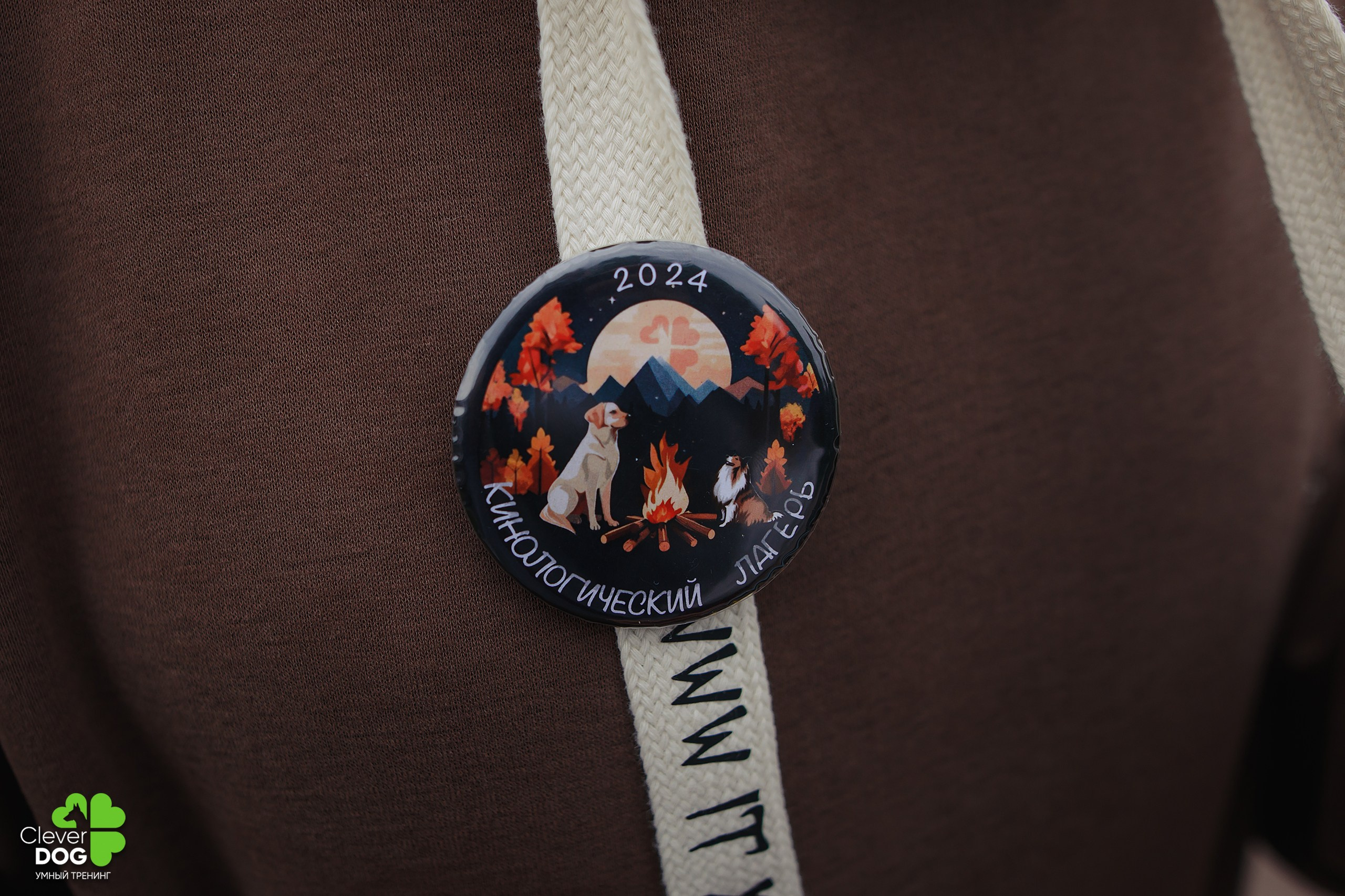 Кинологический лагерь CleverDog, 2024. Фотограф-анималист Mary Mart — Москва, Питер