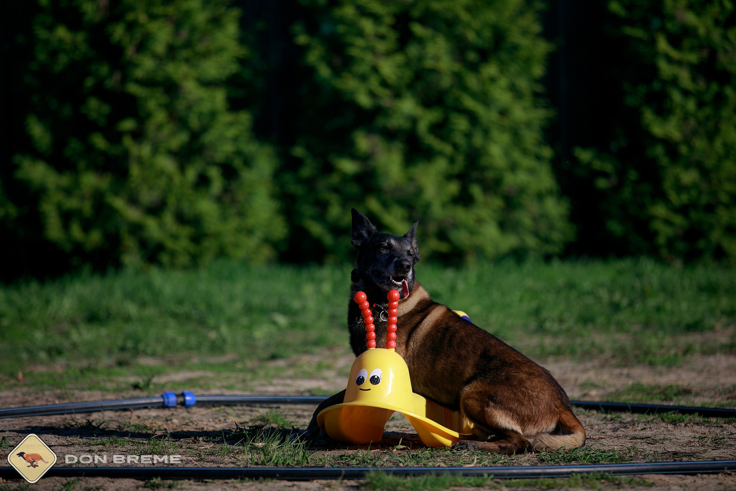 Семинар для фигурантов, день 3. Фотограф-анималист Mary Mart — Москва, Питер