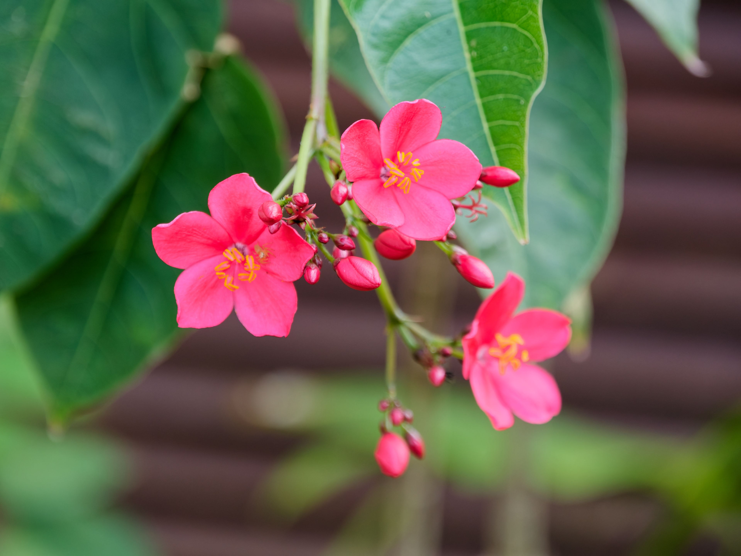 Хайнань 2026, первые впечатления. Фотопрогулки по Миру