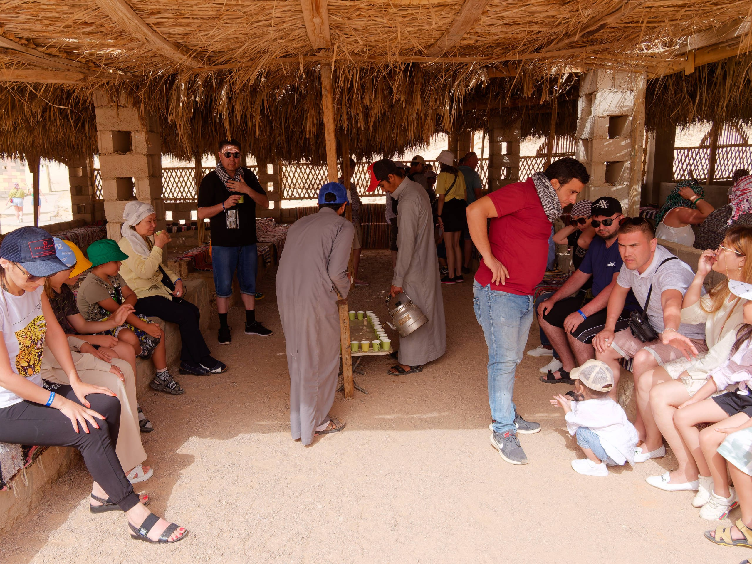 Шарм-эль-Шейх 2022, сафари. Избранные фотографии