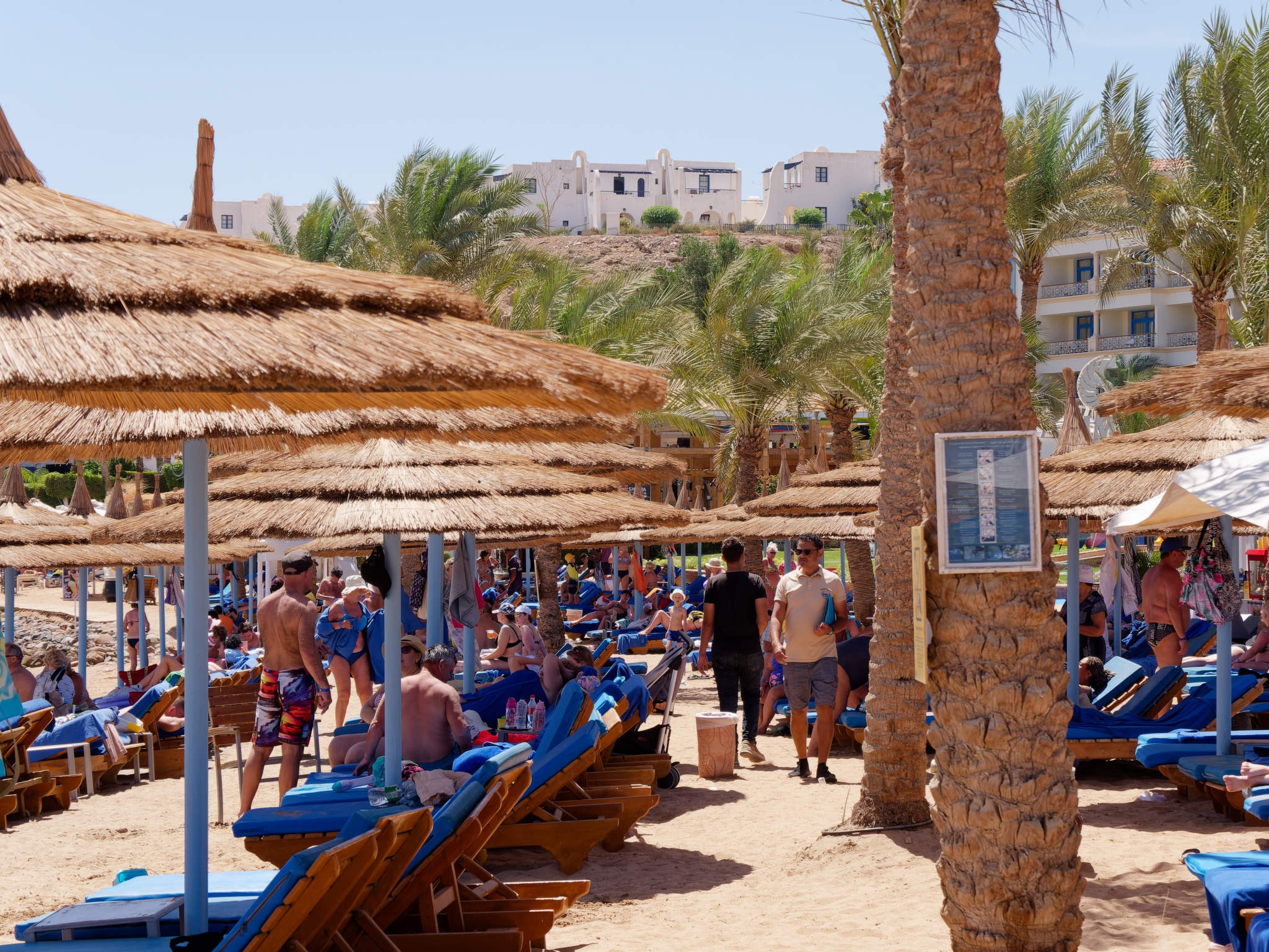 Шарм-эль-Шейх 2024. Избранные фотографии