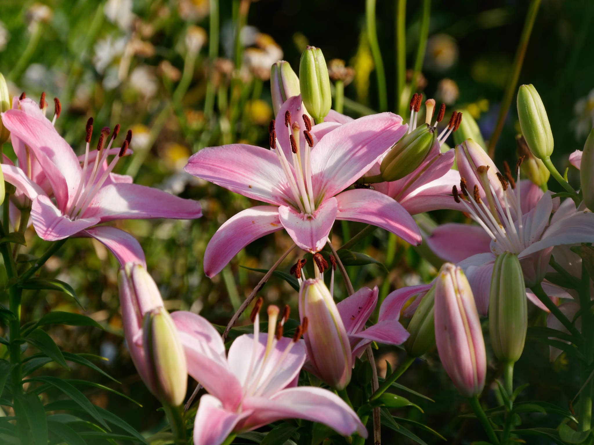 Боровое 2024 (из архива). Избранные фотографии