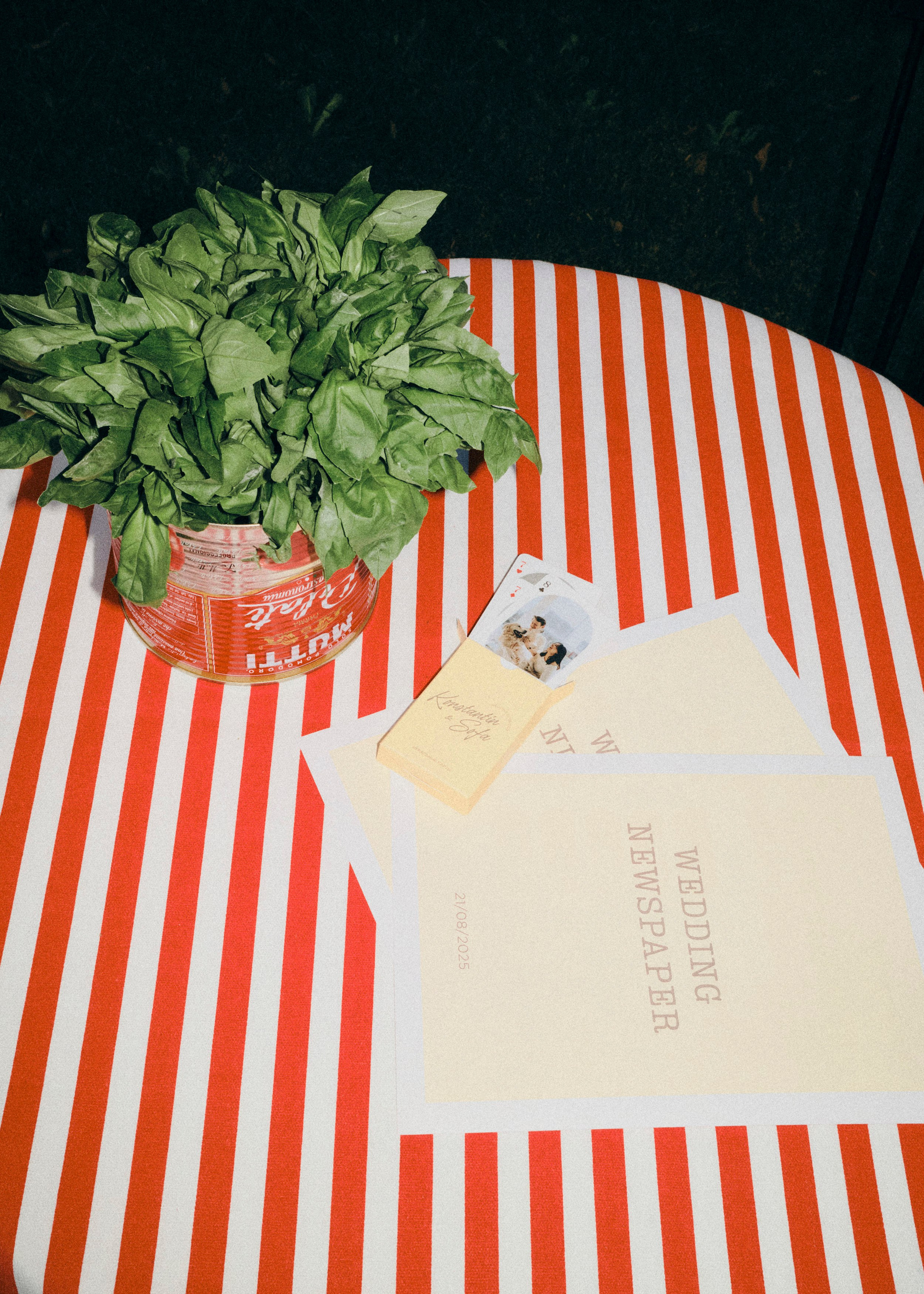 Kostya & Sofa. Фотограф Тим Бритнев