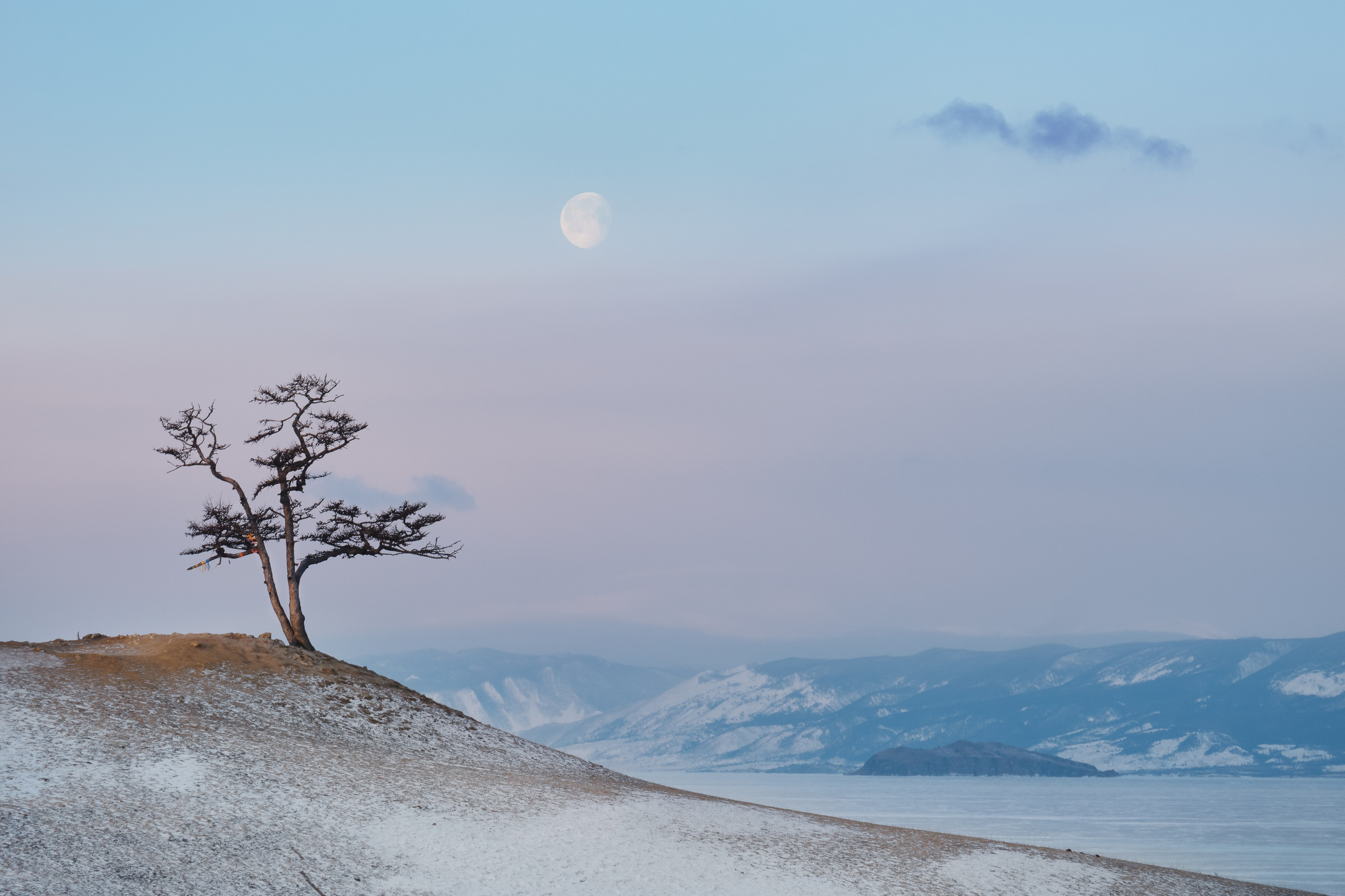 Landscapes. Irina Borodina