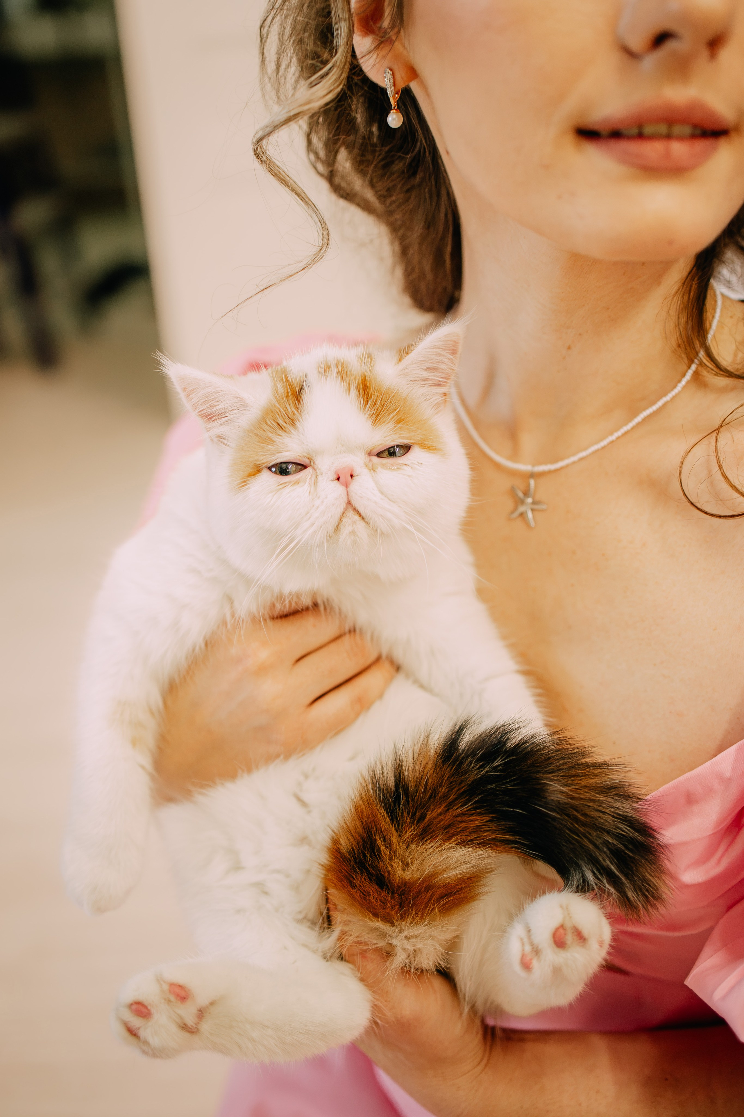 Султан, Мэй Мэй и Шанталь и их семья