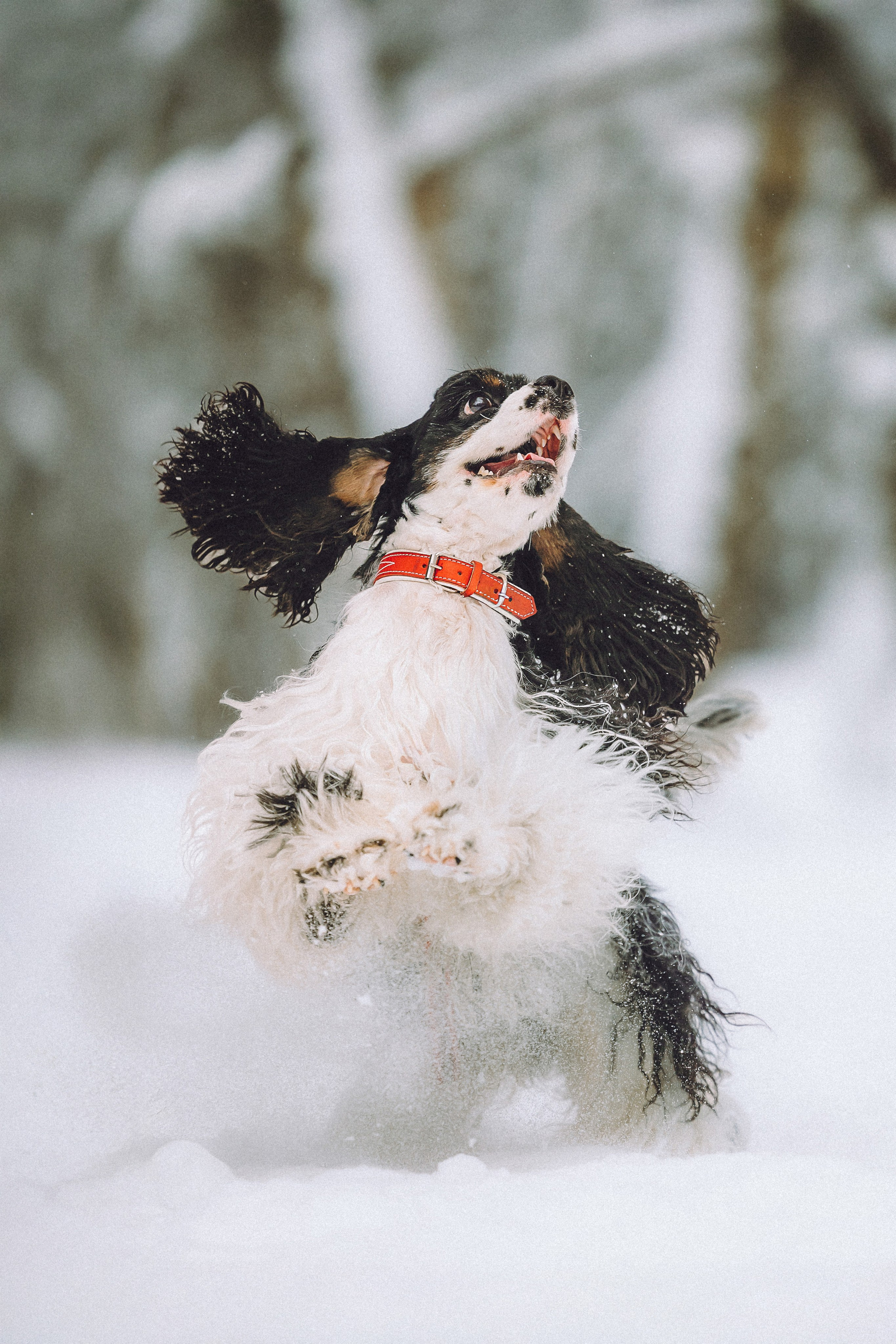 Ольга и Патрик