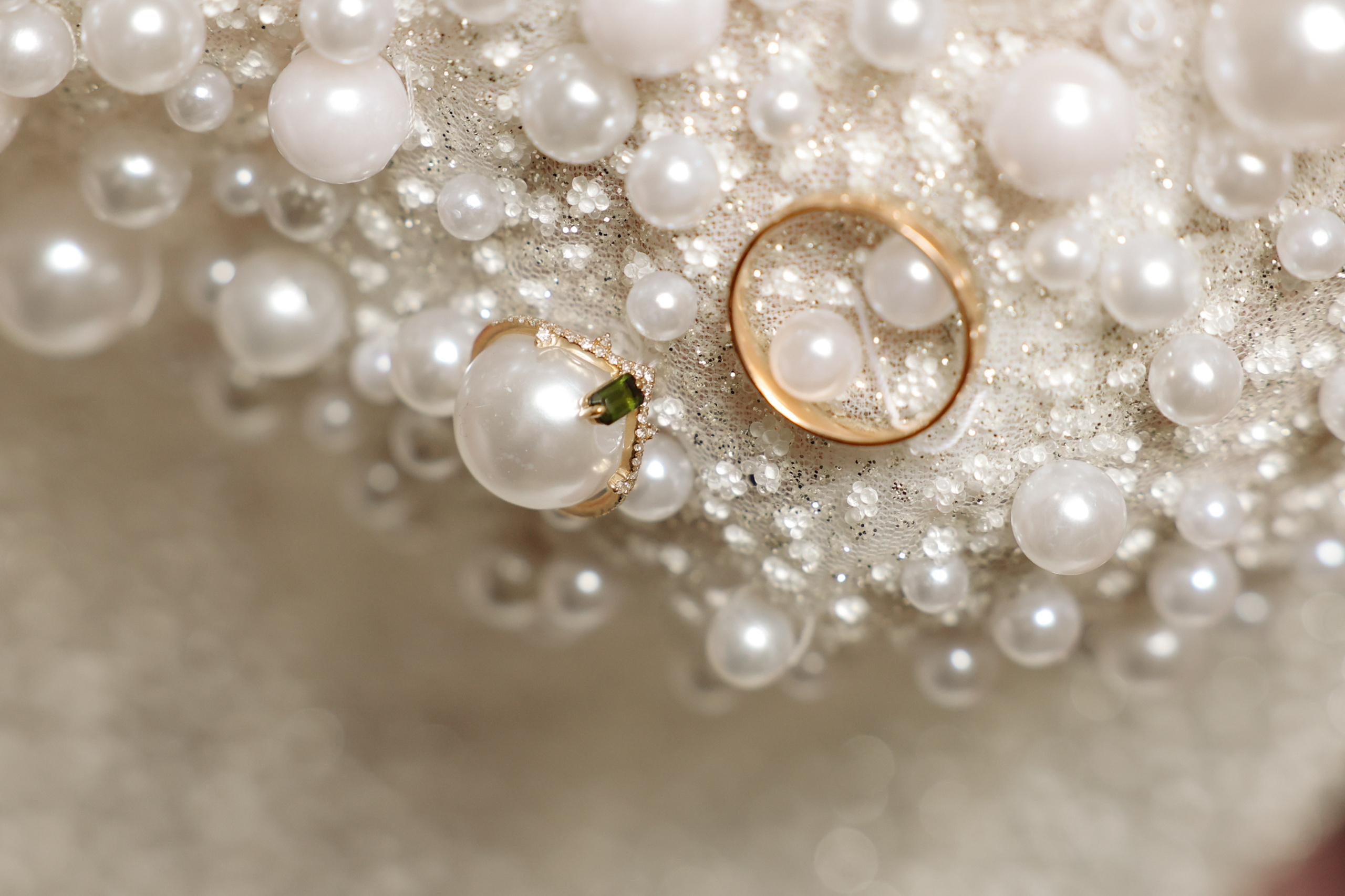 Lesnoi-bereg. Главная