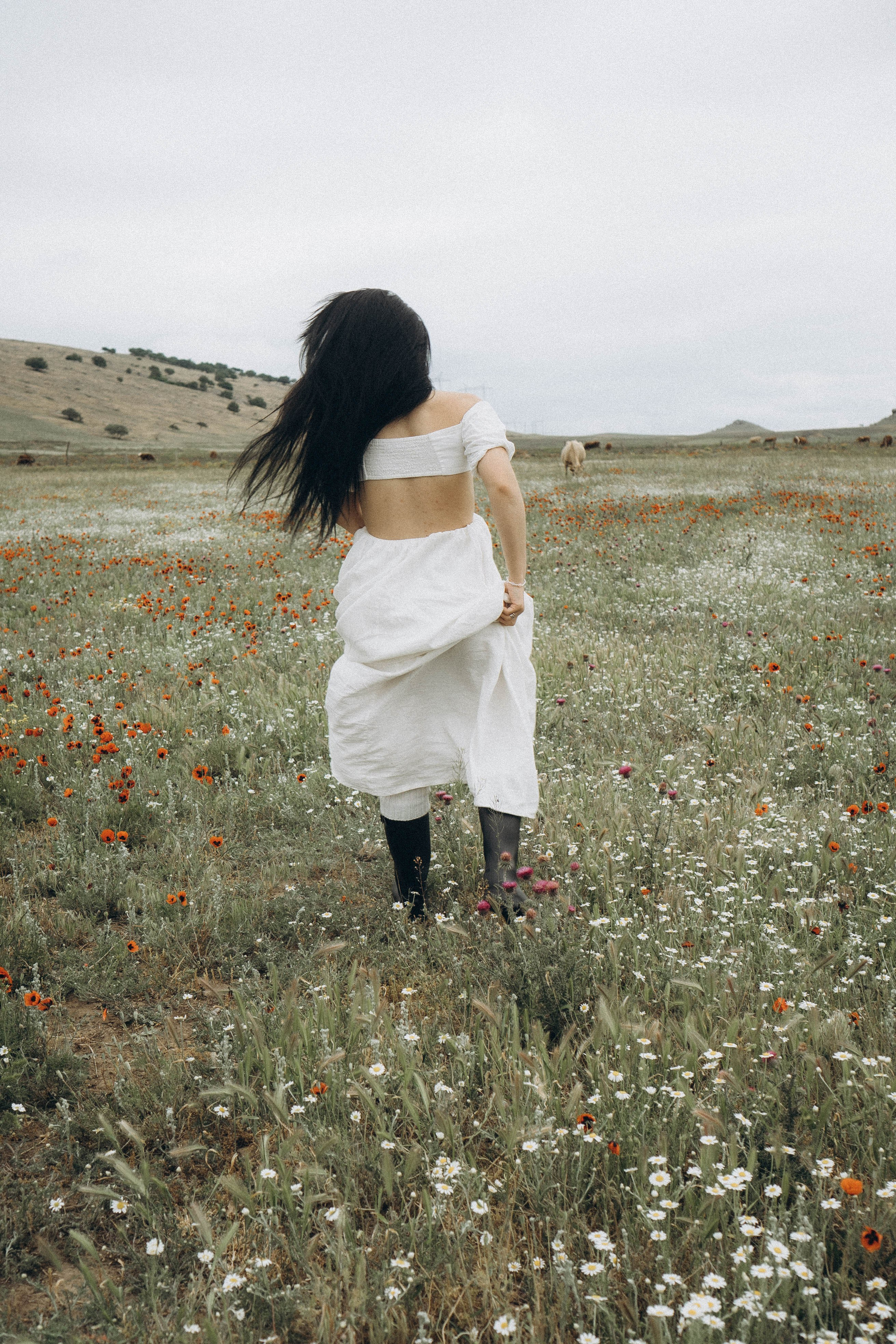 Маковое поле. Профессиональный фотограф, Санкт-Петербург — Виктория Богомолова