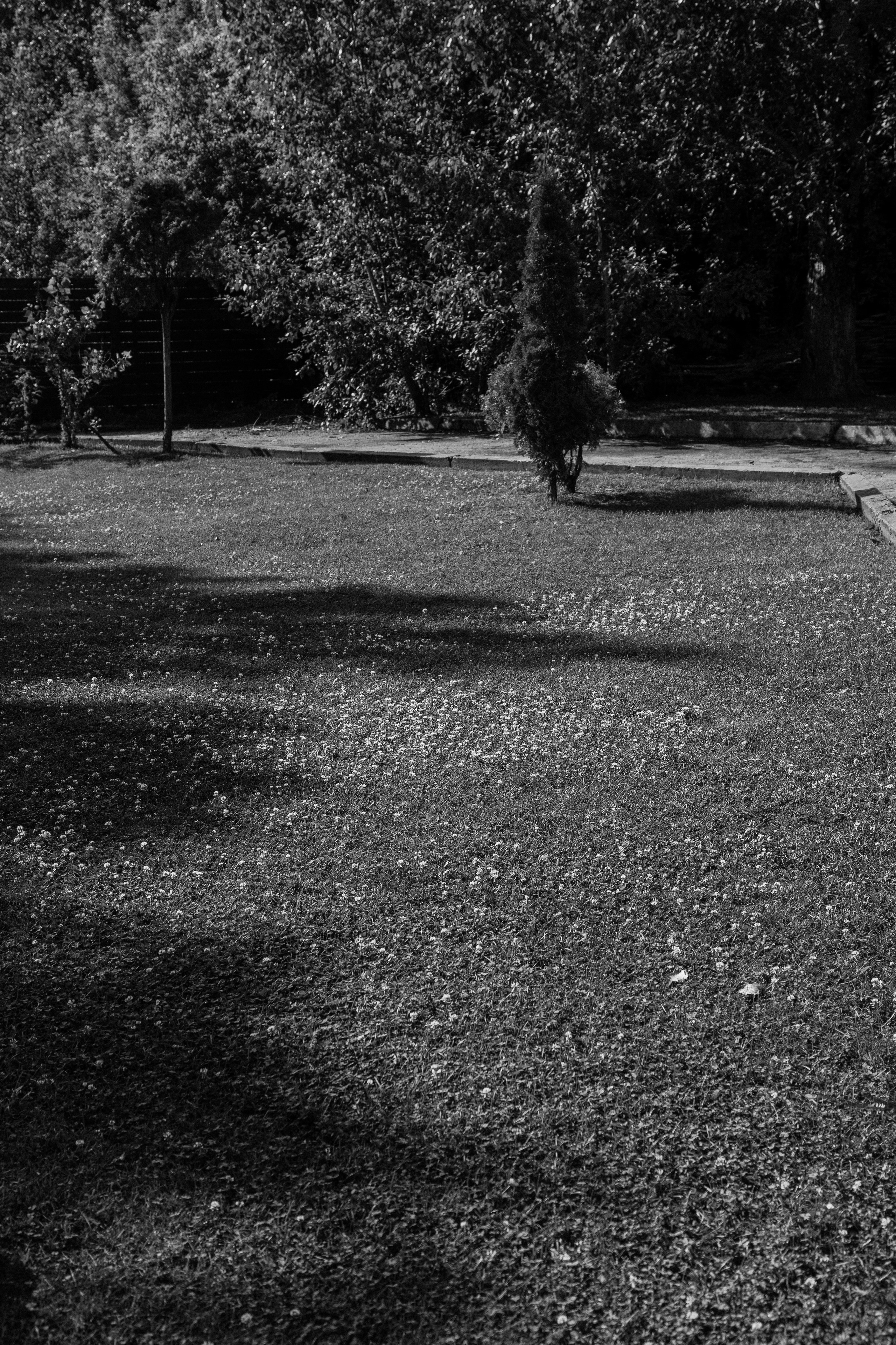 Владислав и Анна. Свадебный и репортажный фотограф видеограф Брянск/Москва